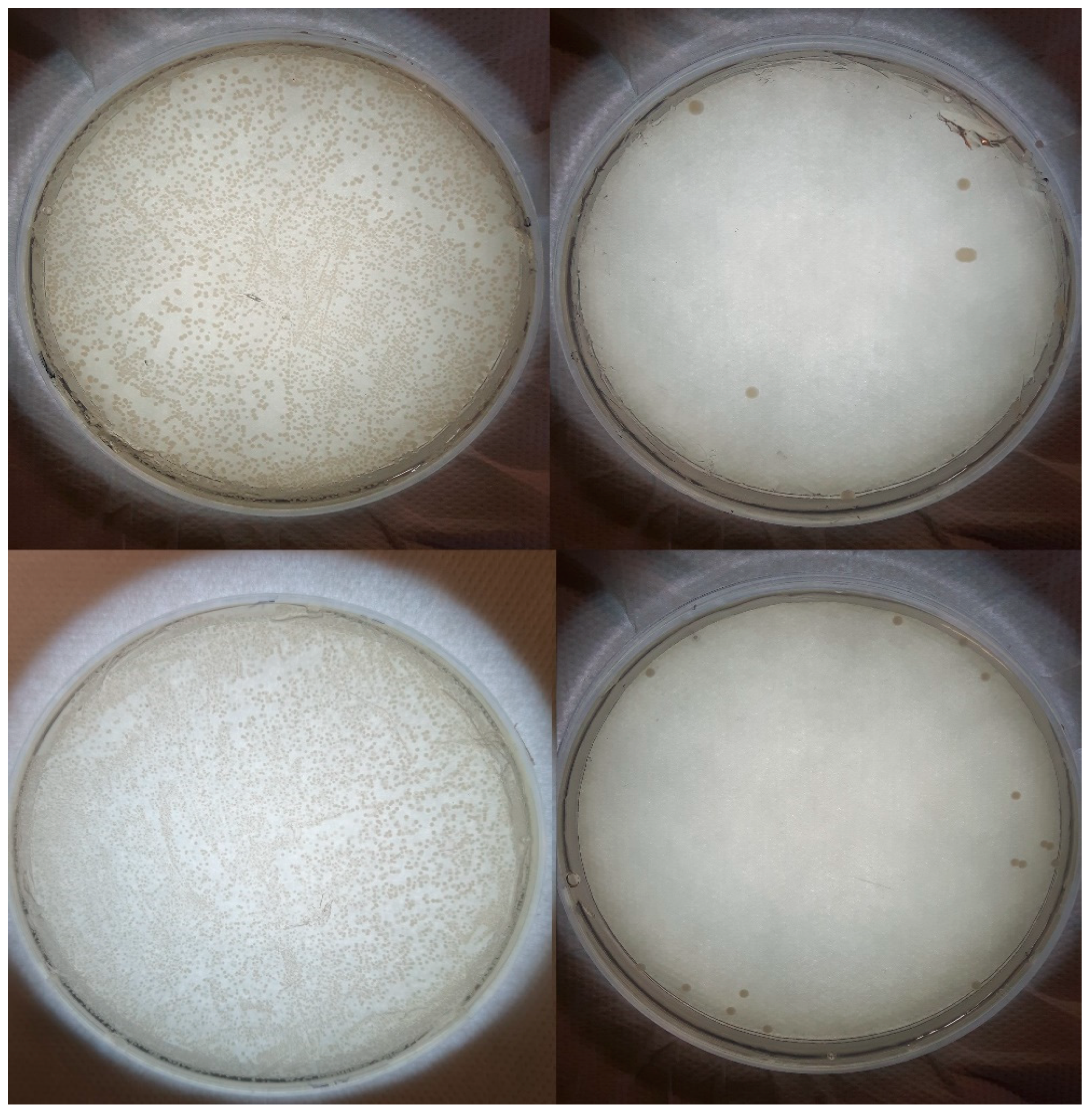 Materproc 14 00010 g003