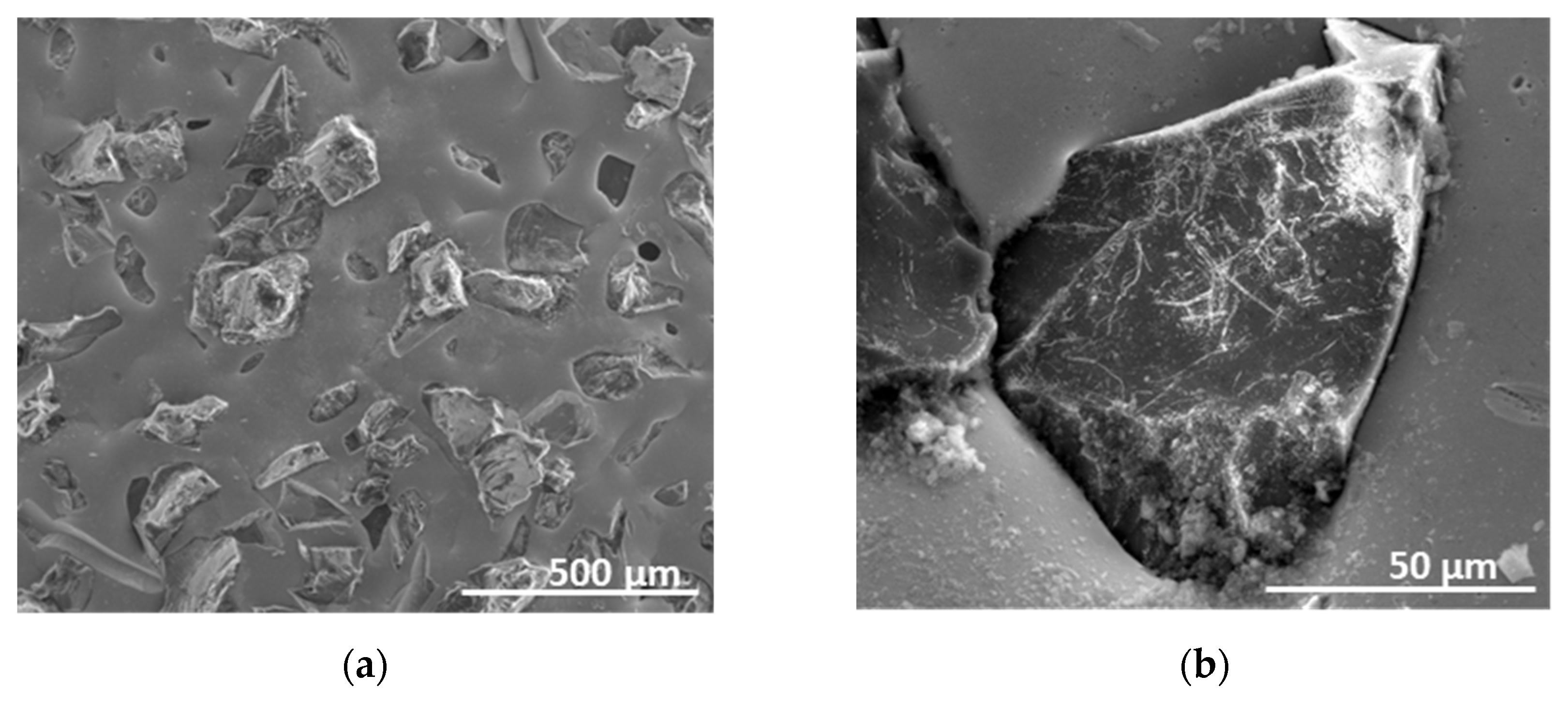 Materproc 14 00011 g001