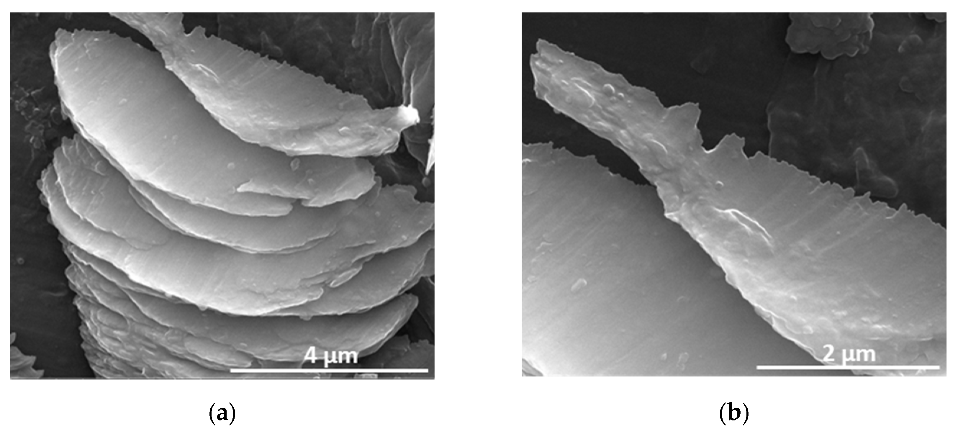 Materproc 14 00011 g003