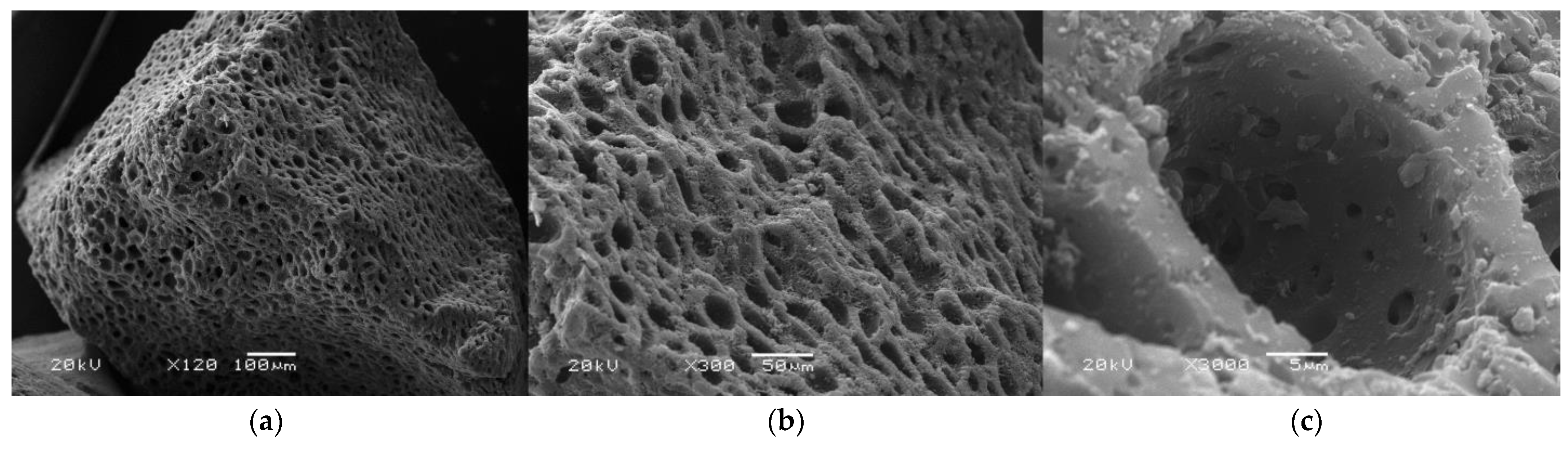 Materproc 14 00015 g001 550