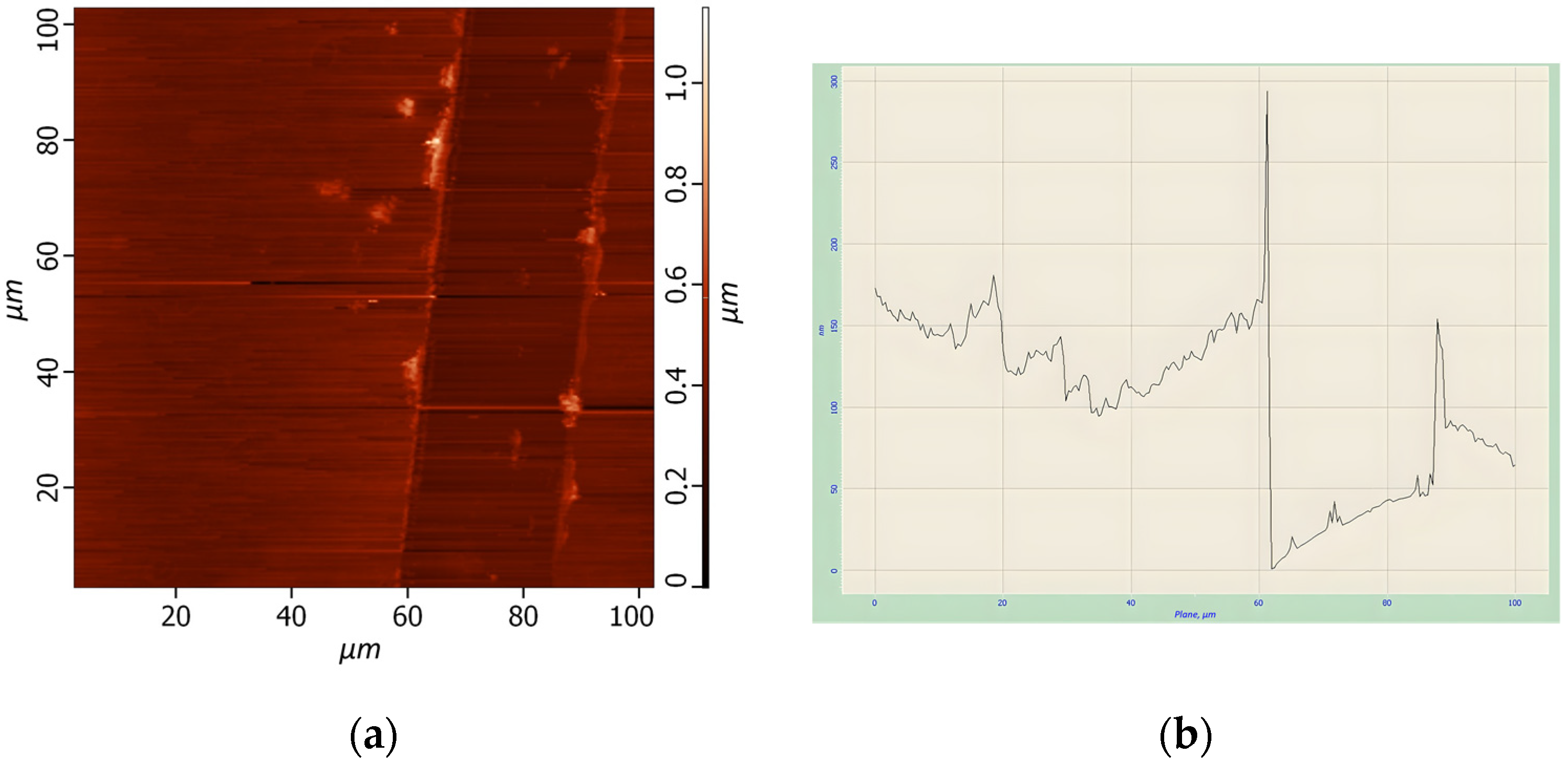 Materproc 14 00021 g004 550