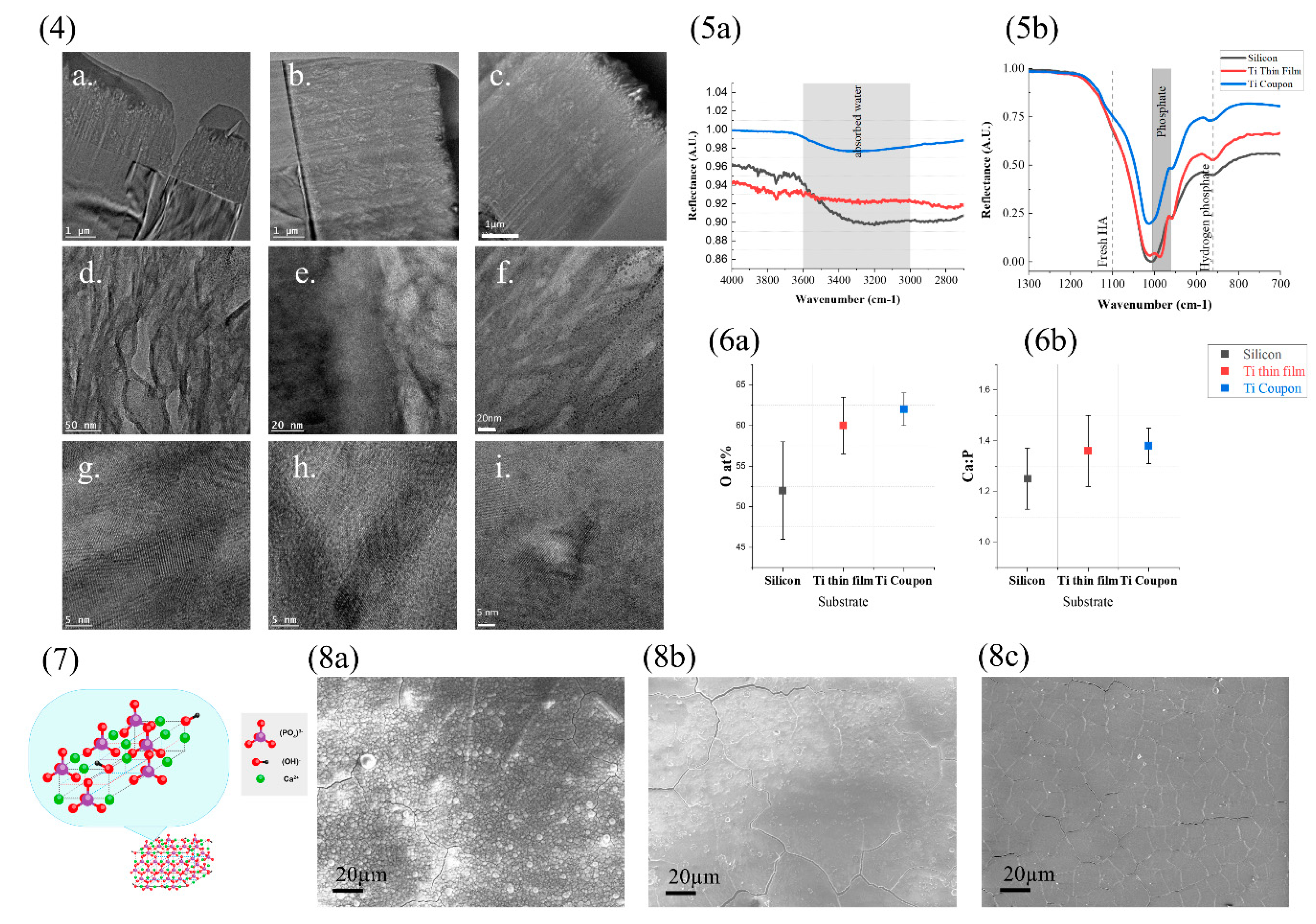 Materproc 14 00034 g002 550