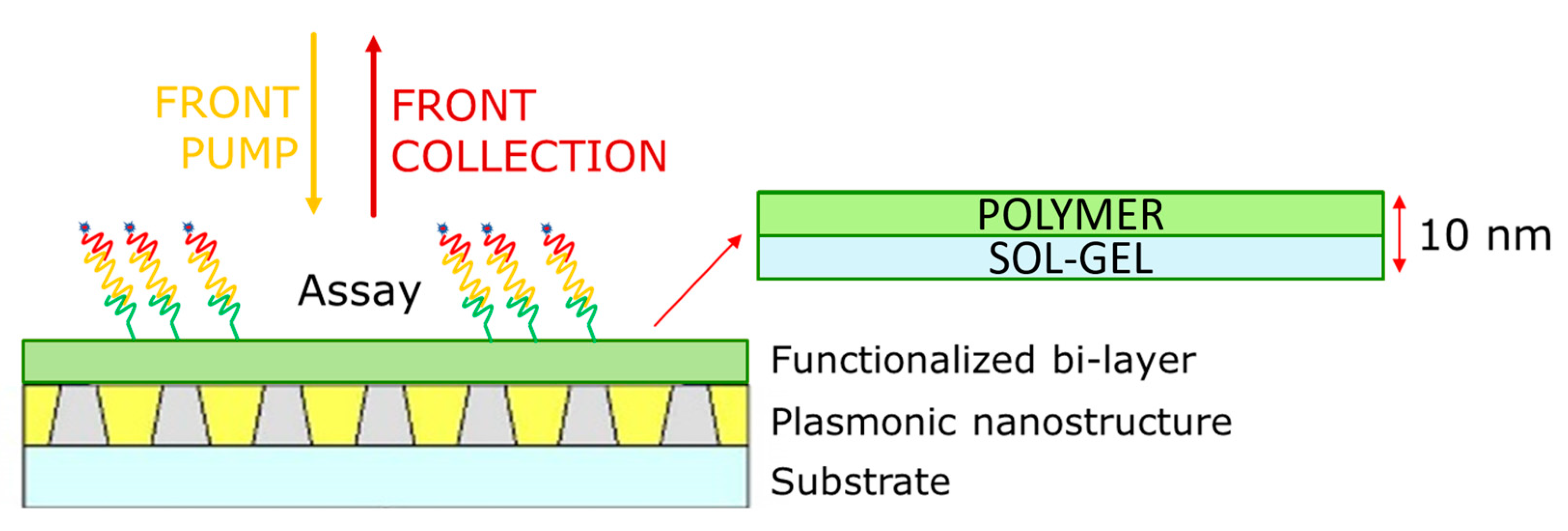 Materproc 14 00042 g001