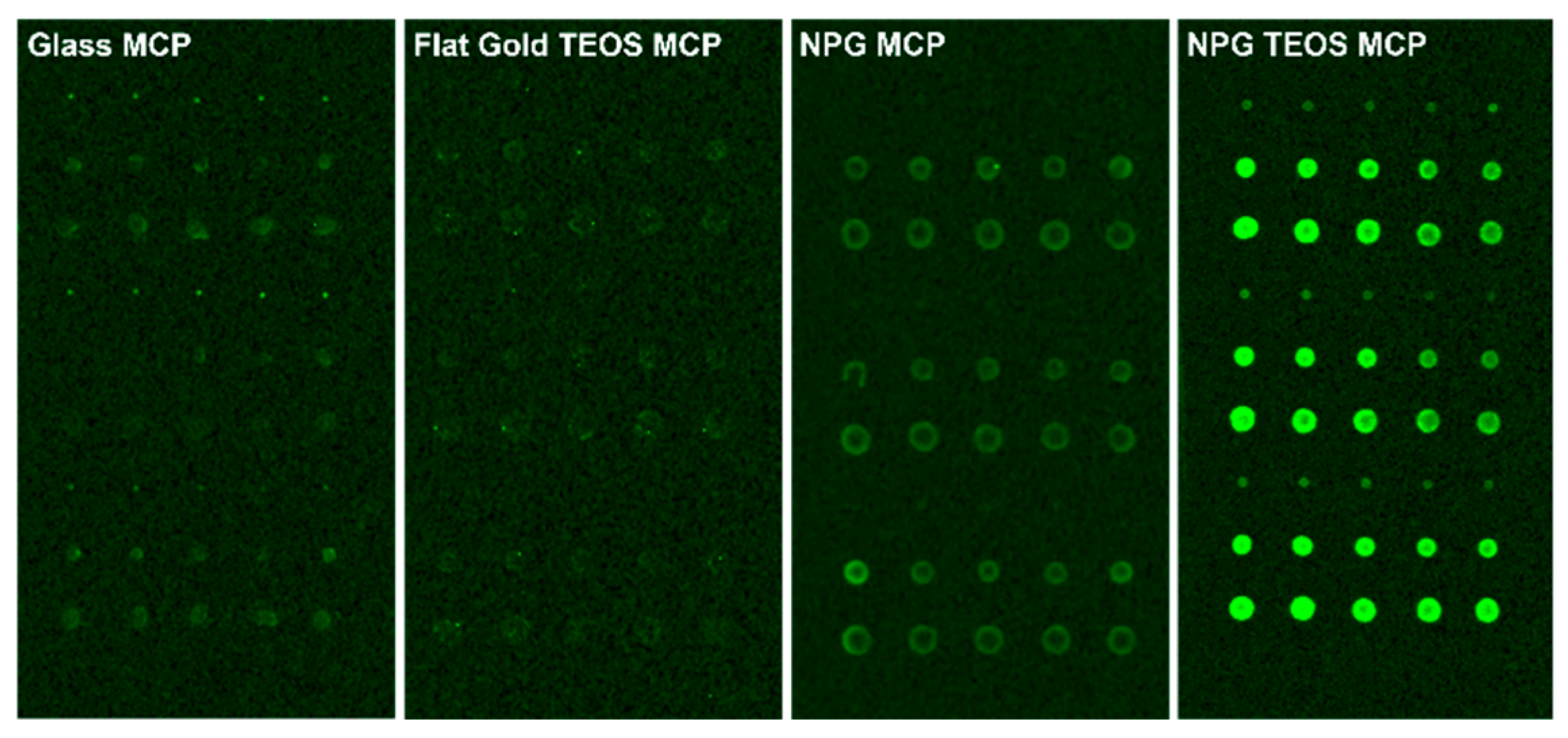 Materproc 14 00042 g002