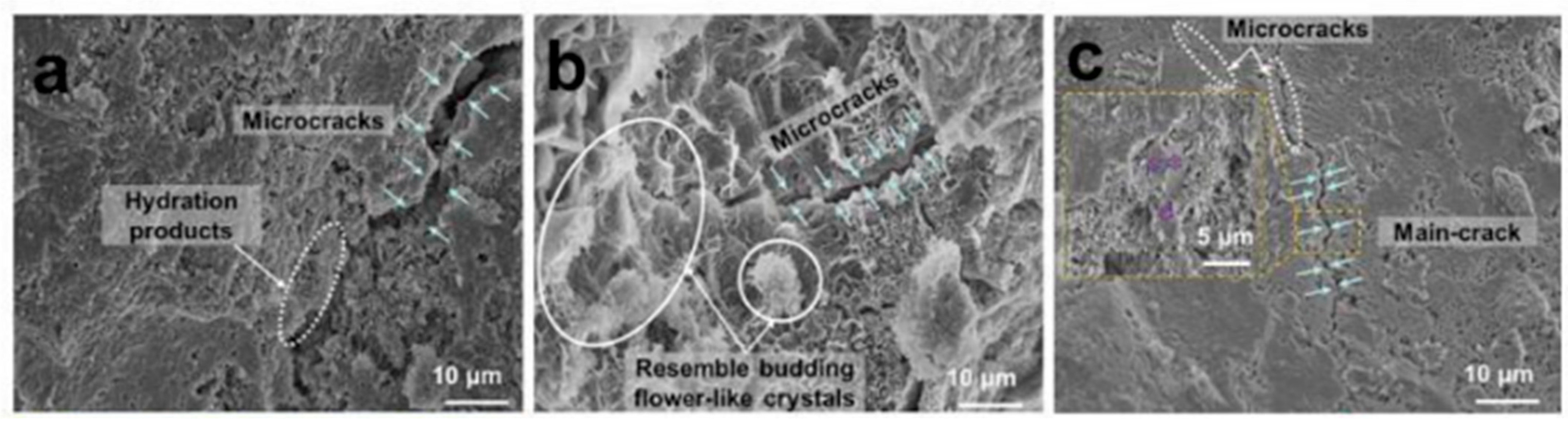 Materproc 14 00048 g002