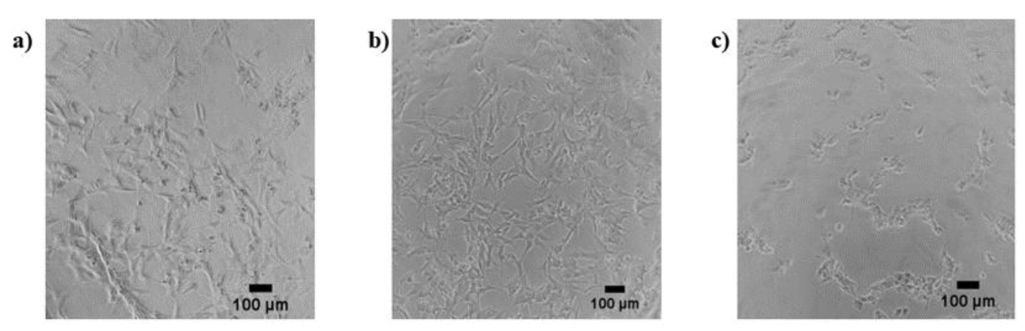 Materproc 14 00052 g001