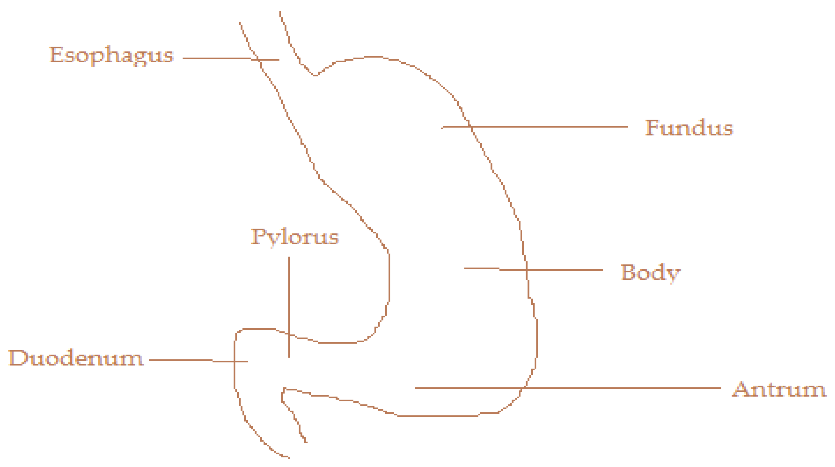 Materproc 14 00063 g001 550