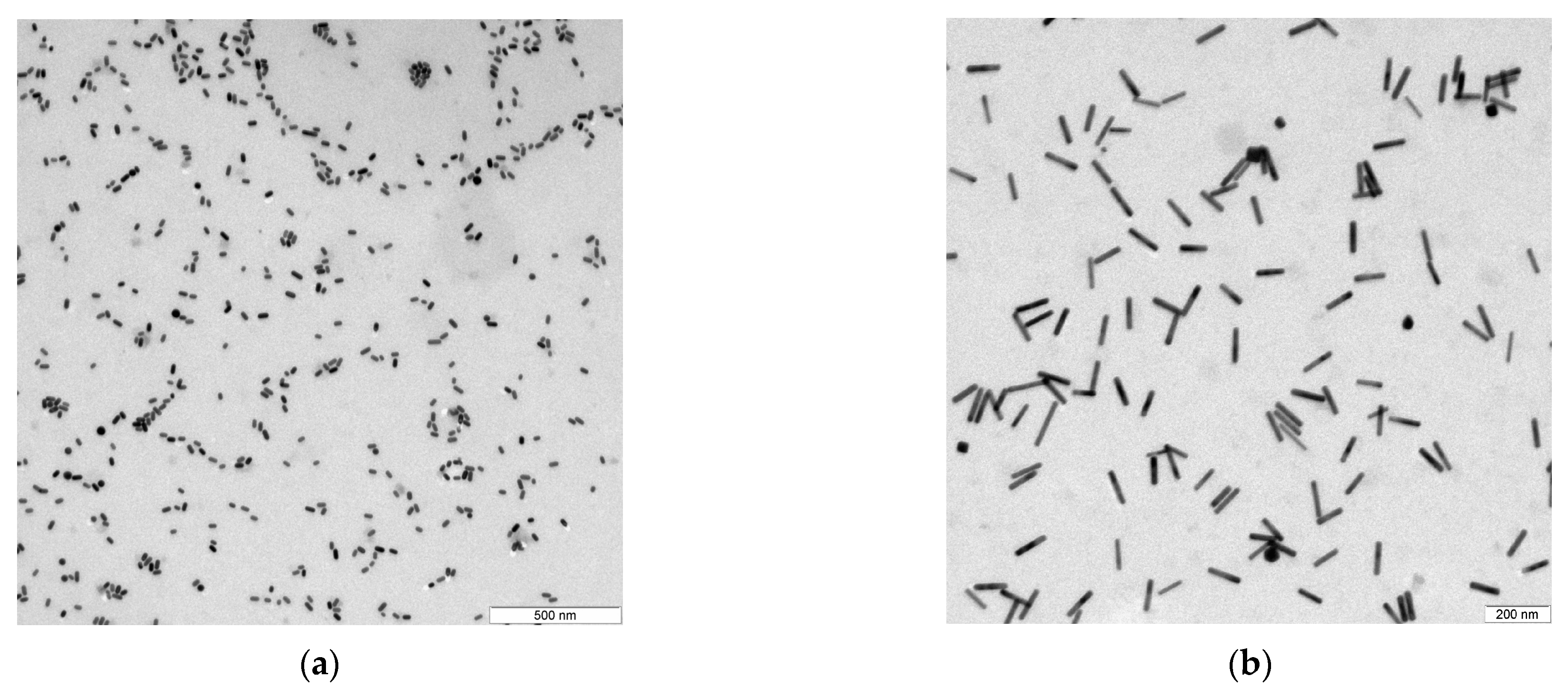 Materproc 14 00065 g001 550