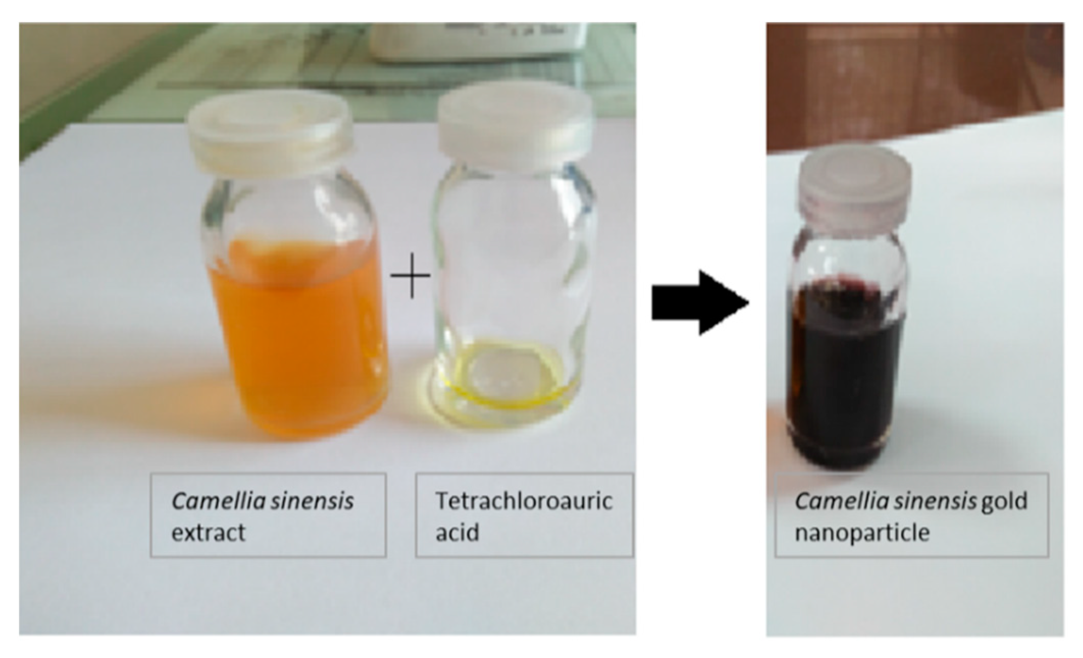 Materproc 14 00067 g002
