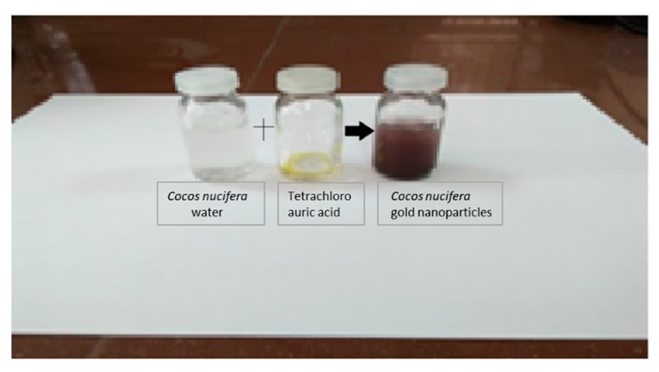 Materproc 14 00067 g003