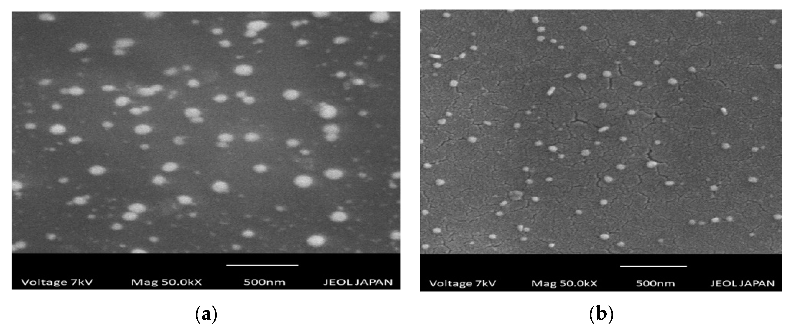 Materproc 14 00067 g007