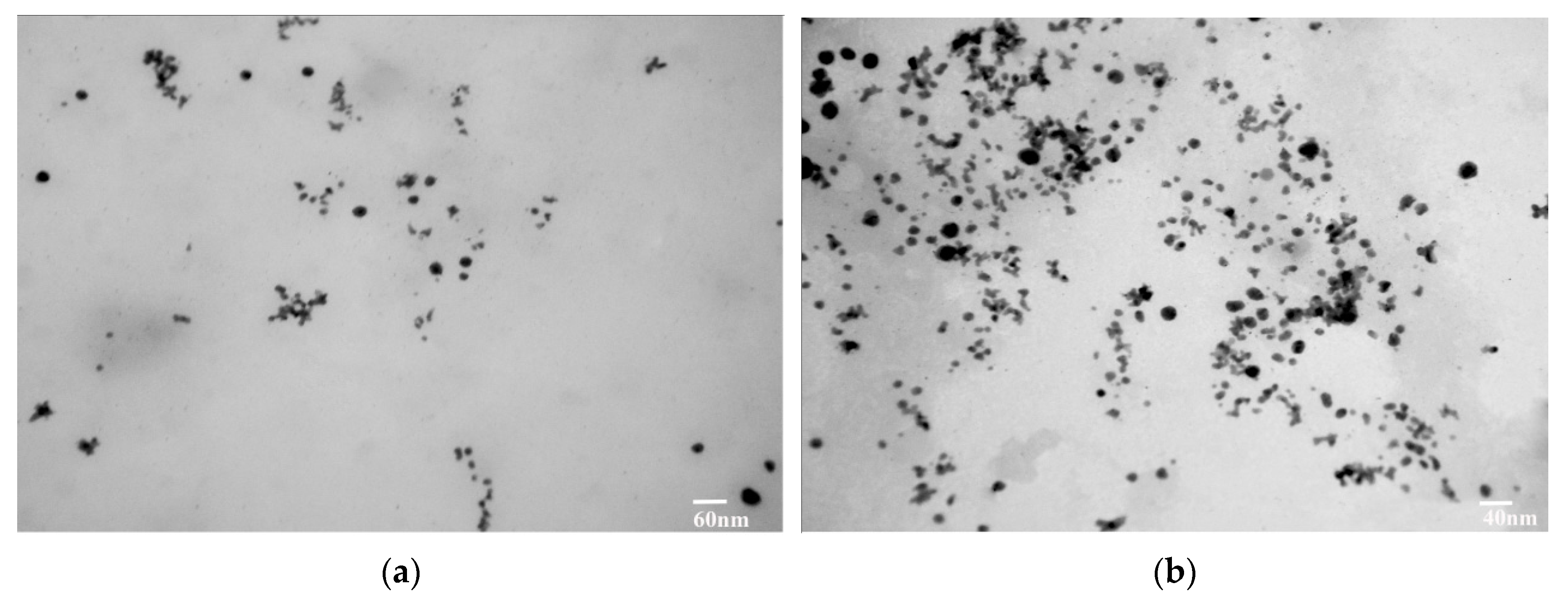 Materproc 14 00067 g008