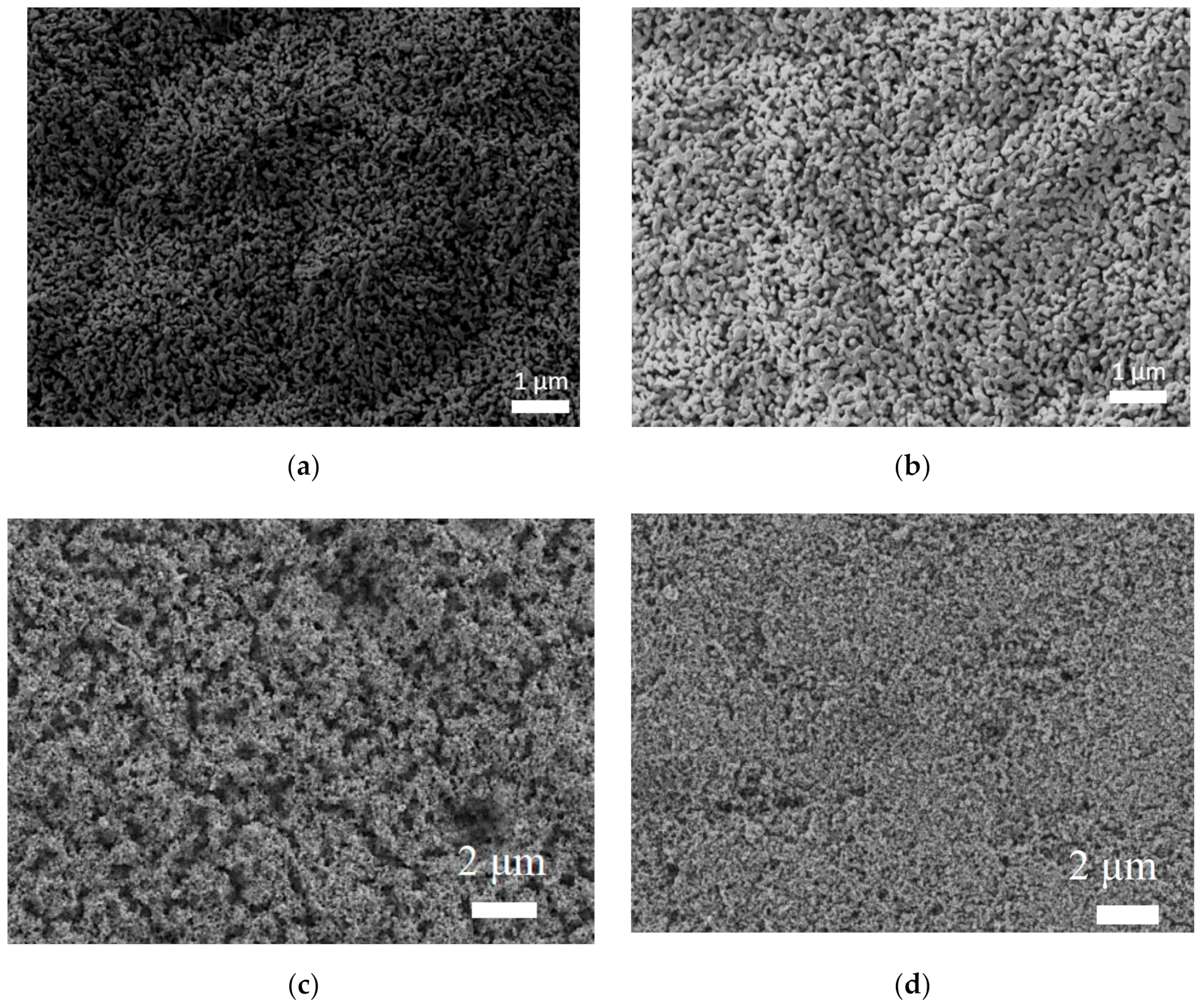Materproc 14 00069 g001