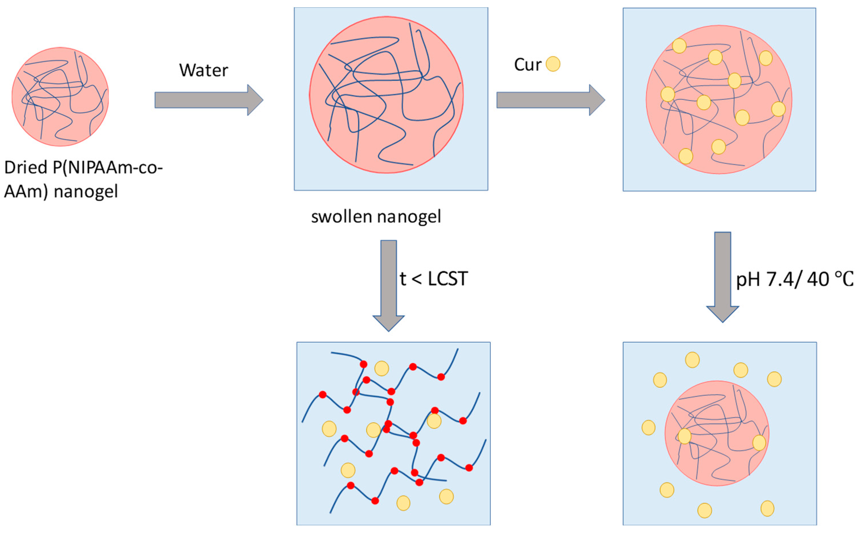 Materproc 14 00071 sch001