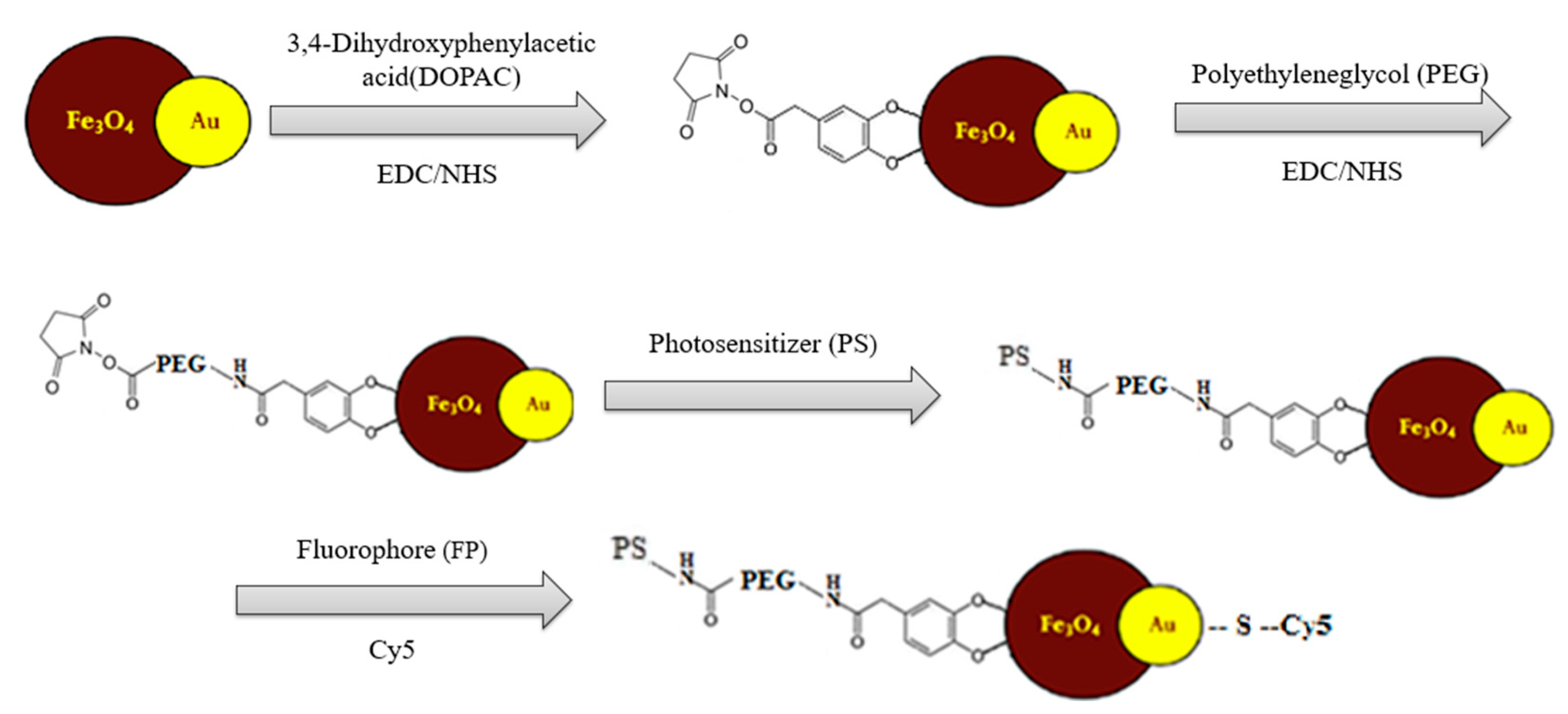 Materproc 14 00072 g001 550