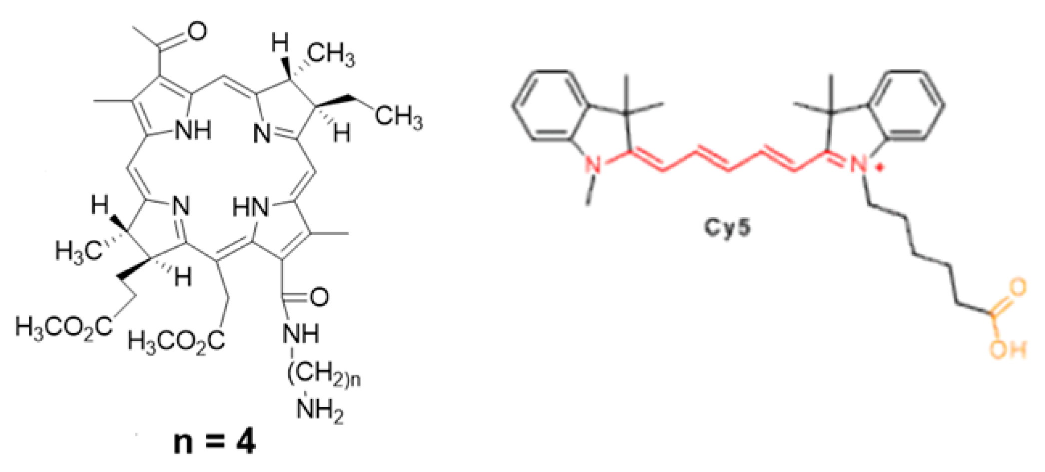 Materproc 14 00072 g002 550