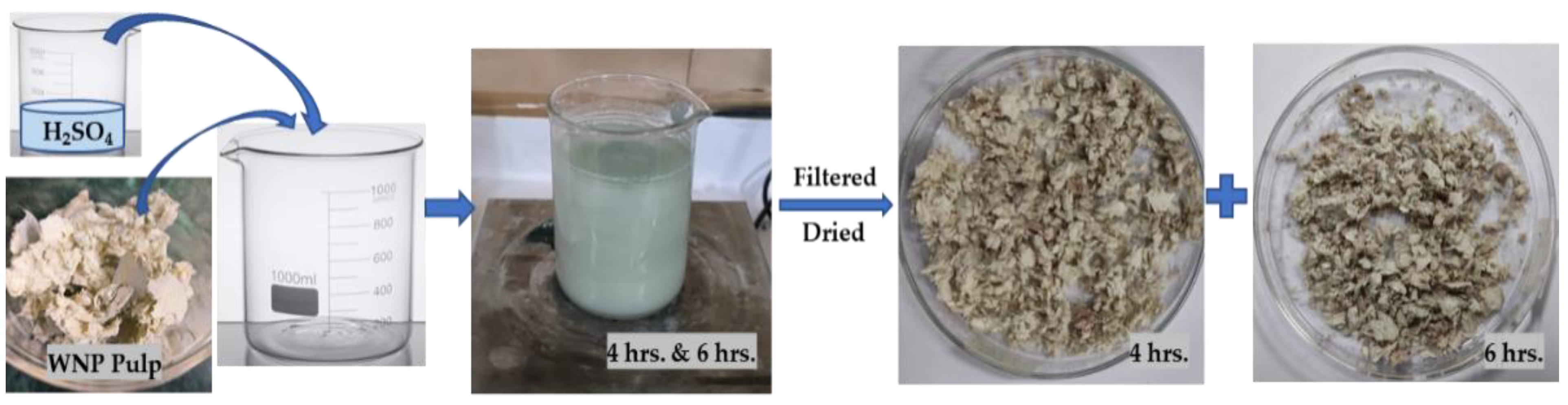 Materproc 14 00074 g002