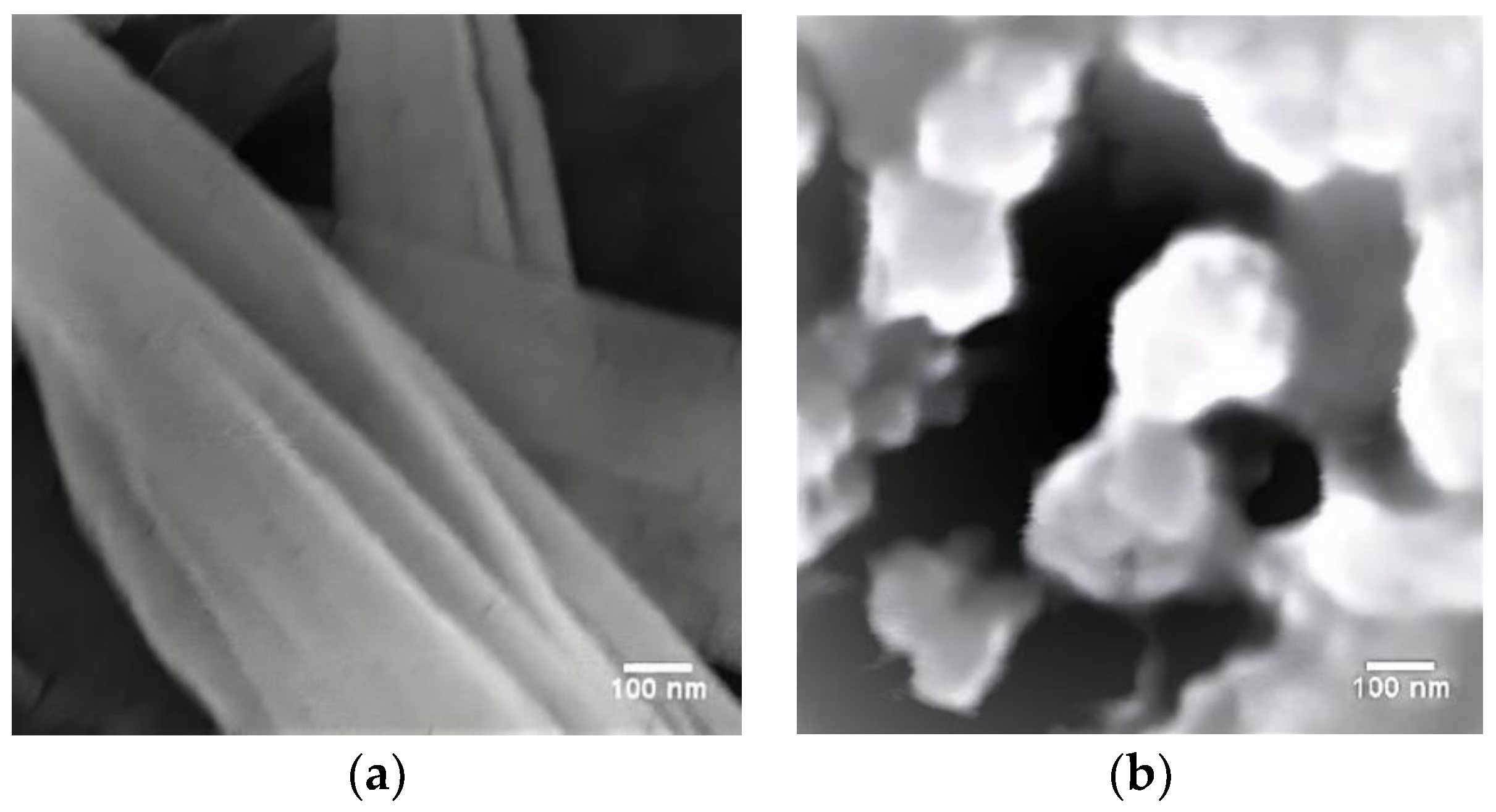 Materproc 14 00074 g003