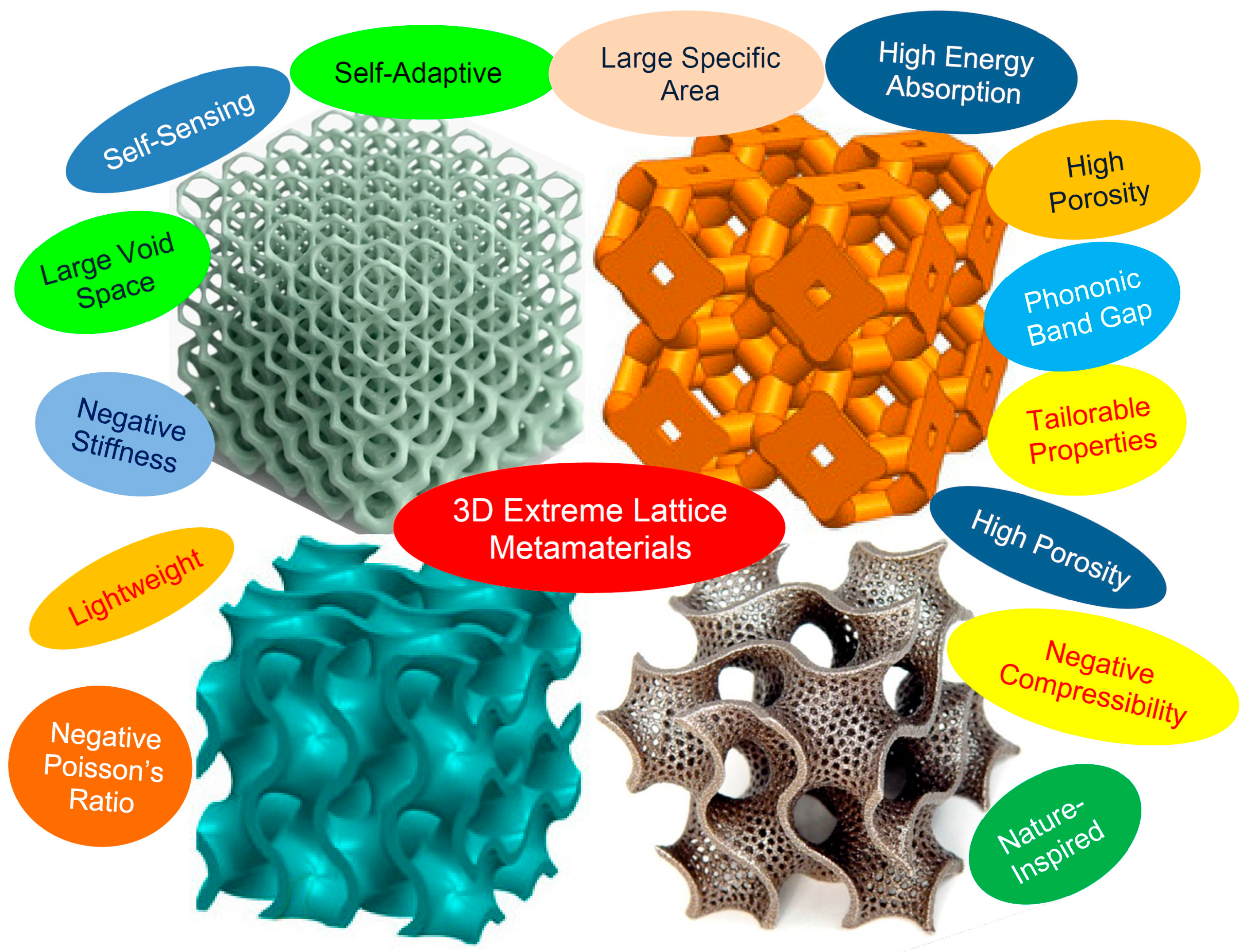 Materproc 14 00076 g001 550