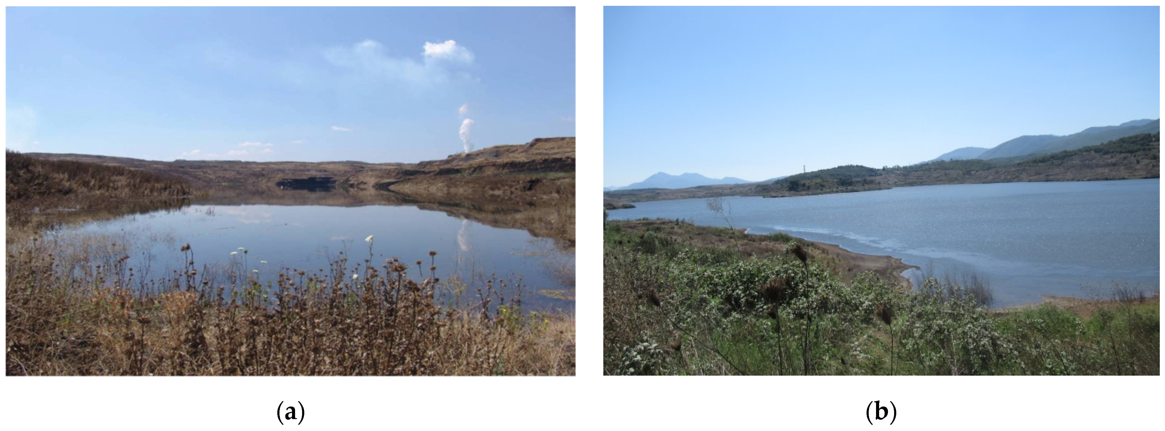 Materproc 15 00002 g005