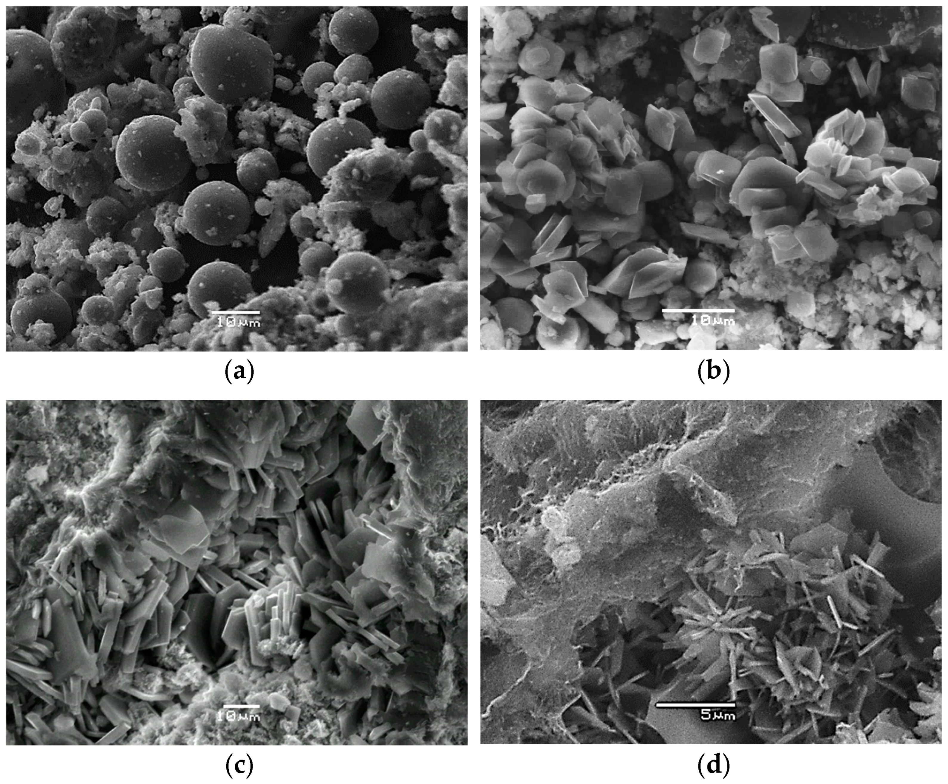 Materproc 15 00020 g001