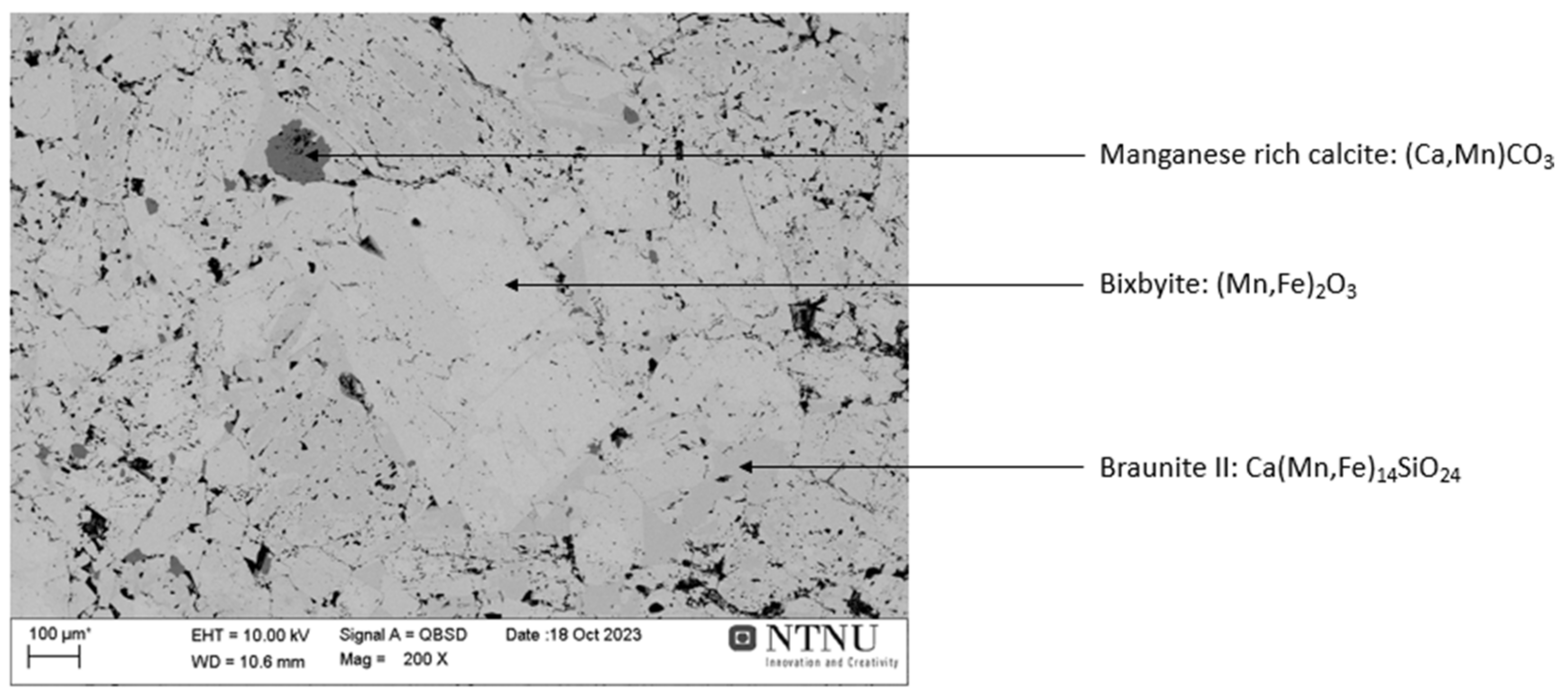 Materproc 15 00058 g002