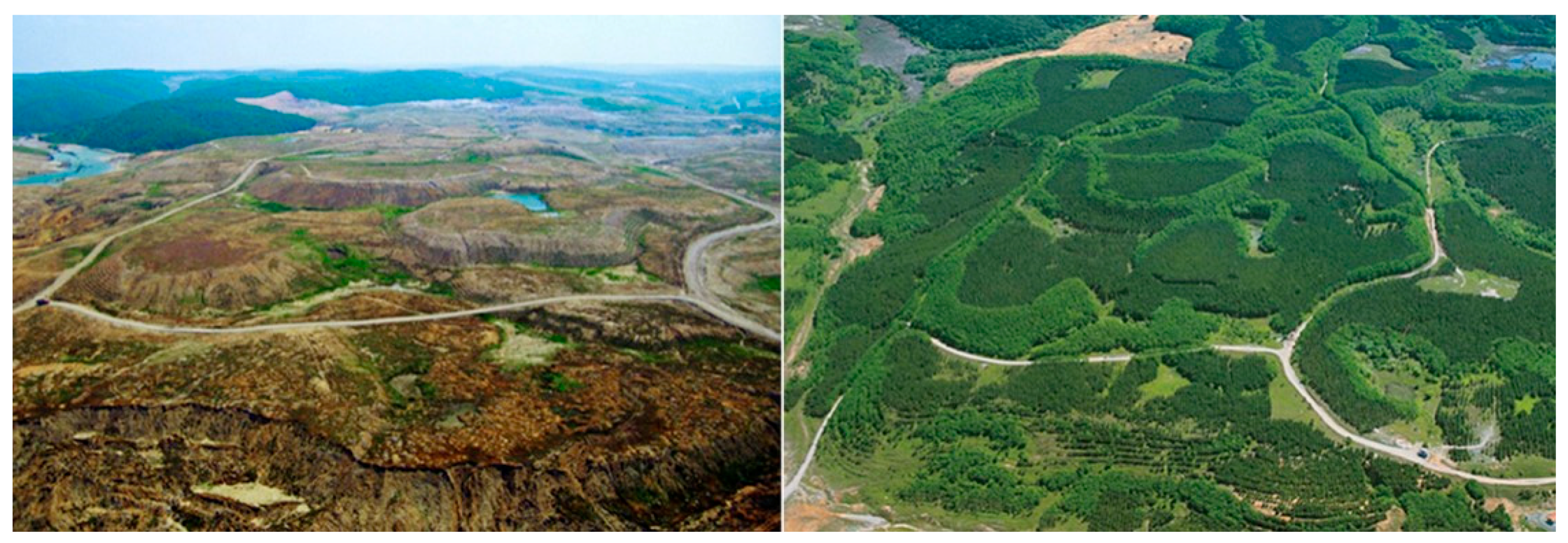 Materproc 15 00093 g003