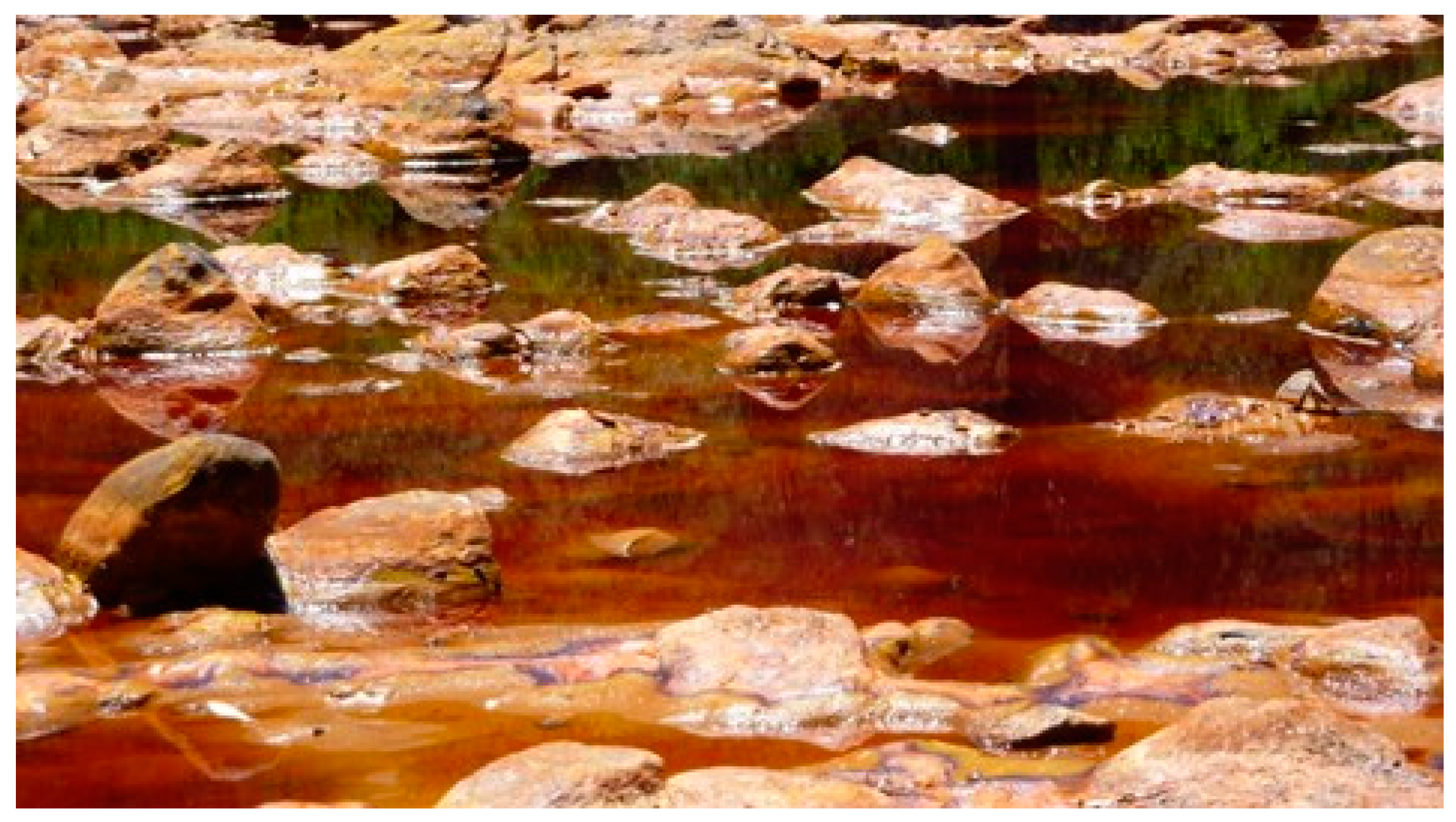 Materproc 15 00093 g004