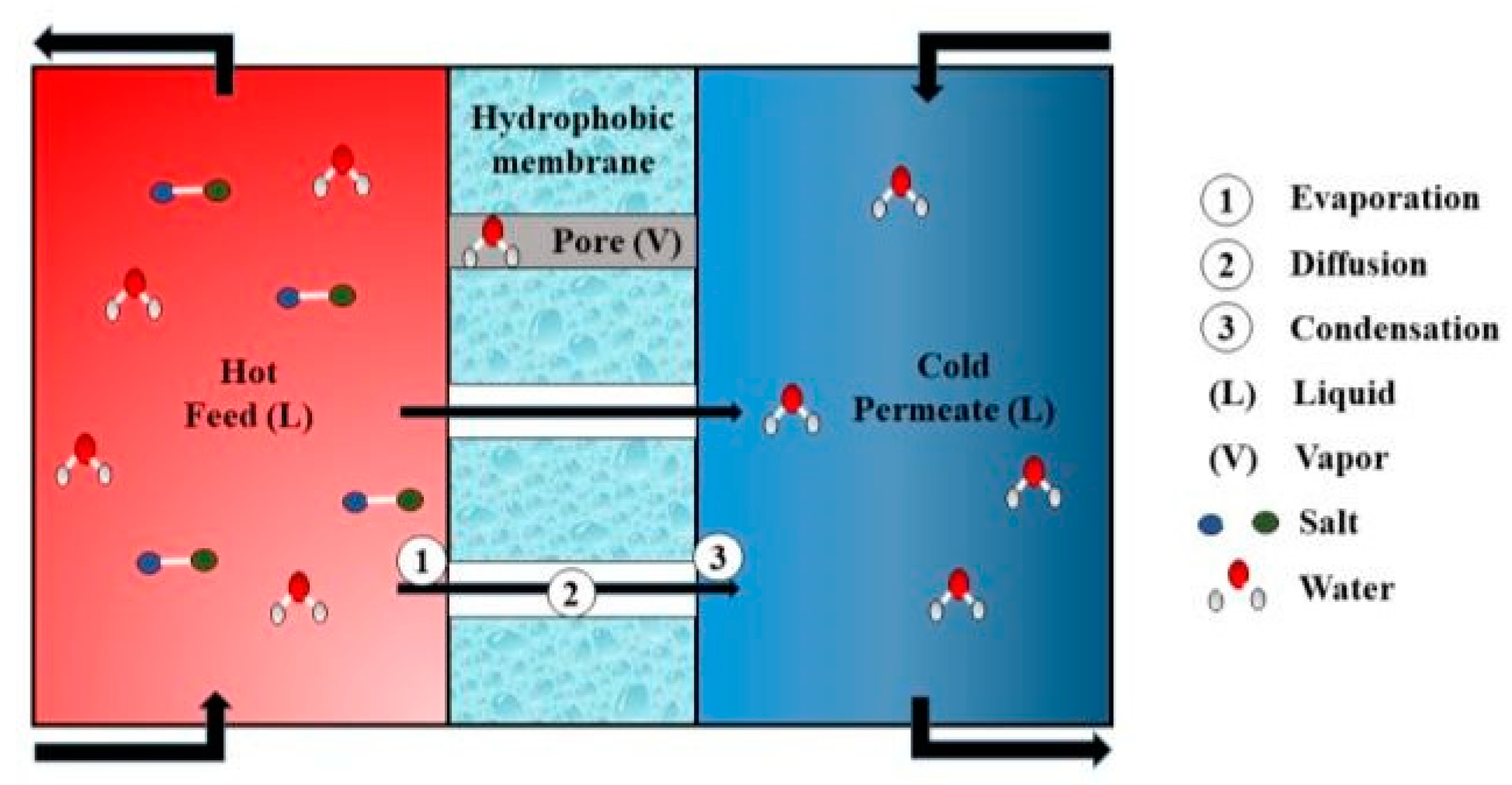 Materproc 17 00005 g001