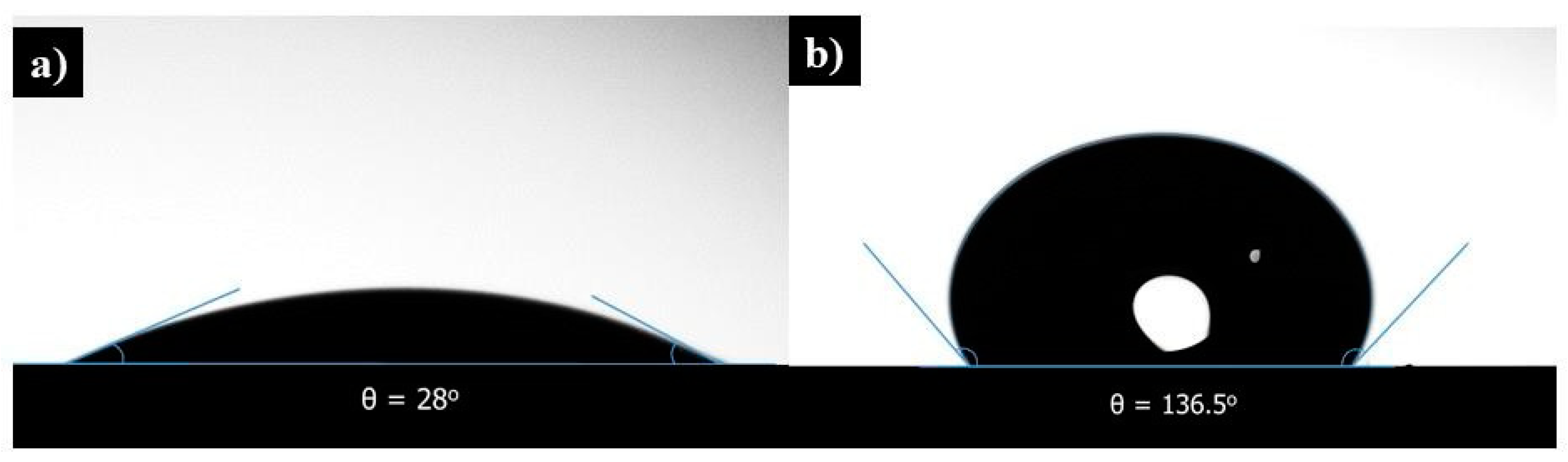 Materproc 17 00005 g003