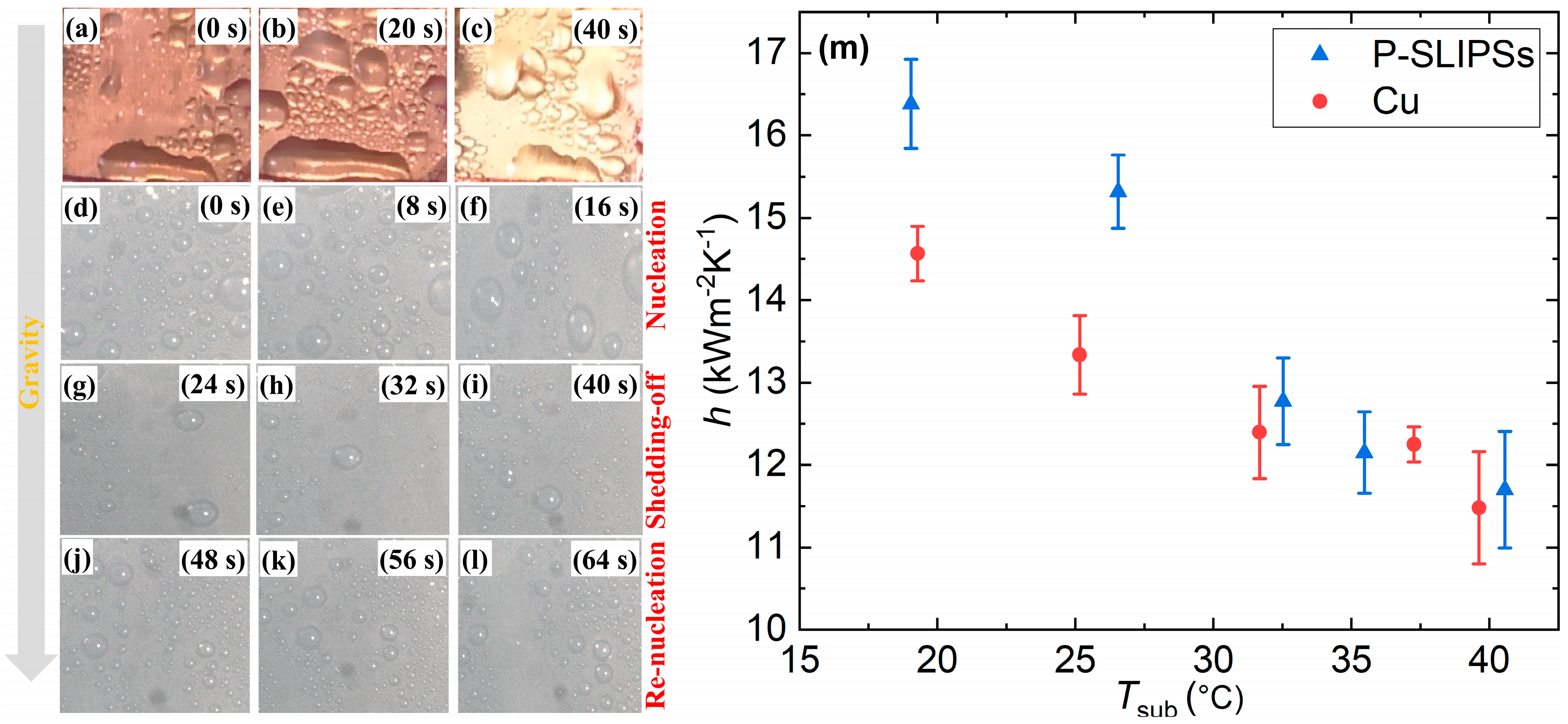Materproc 17 00007 g003