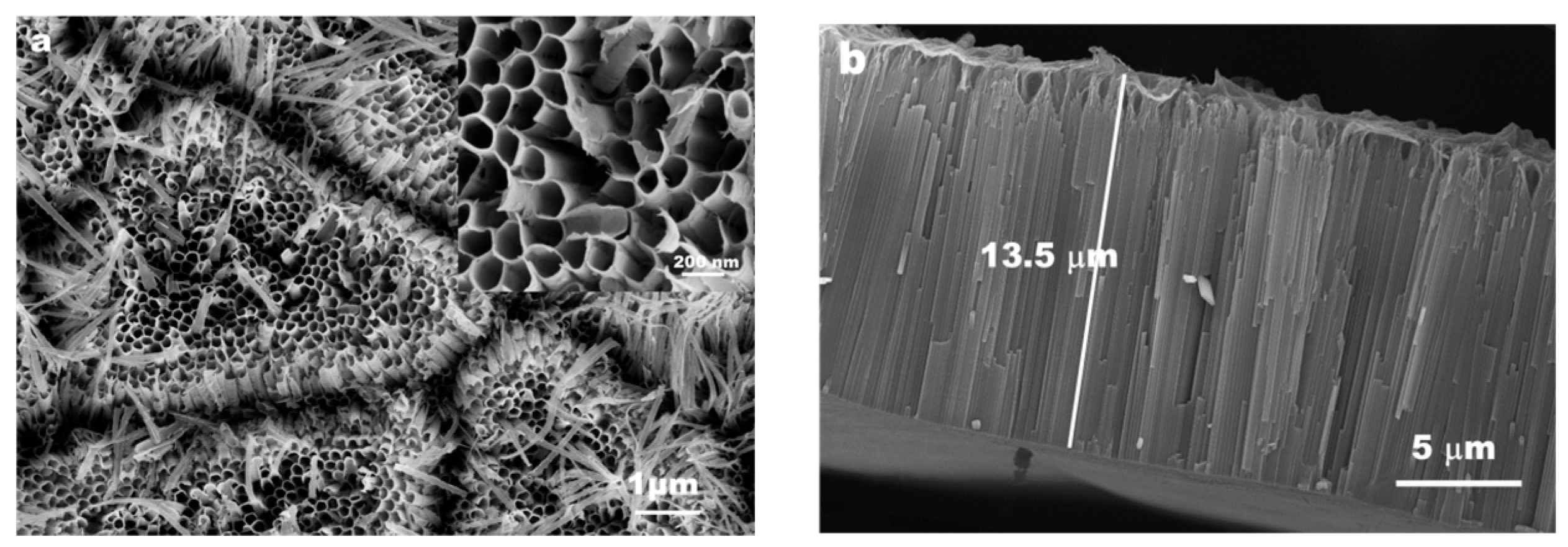 Materproc 17 00024 g002