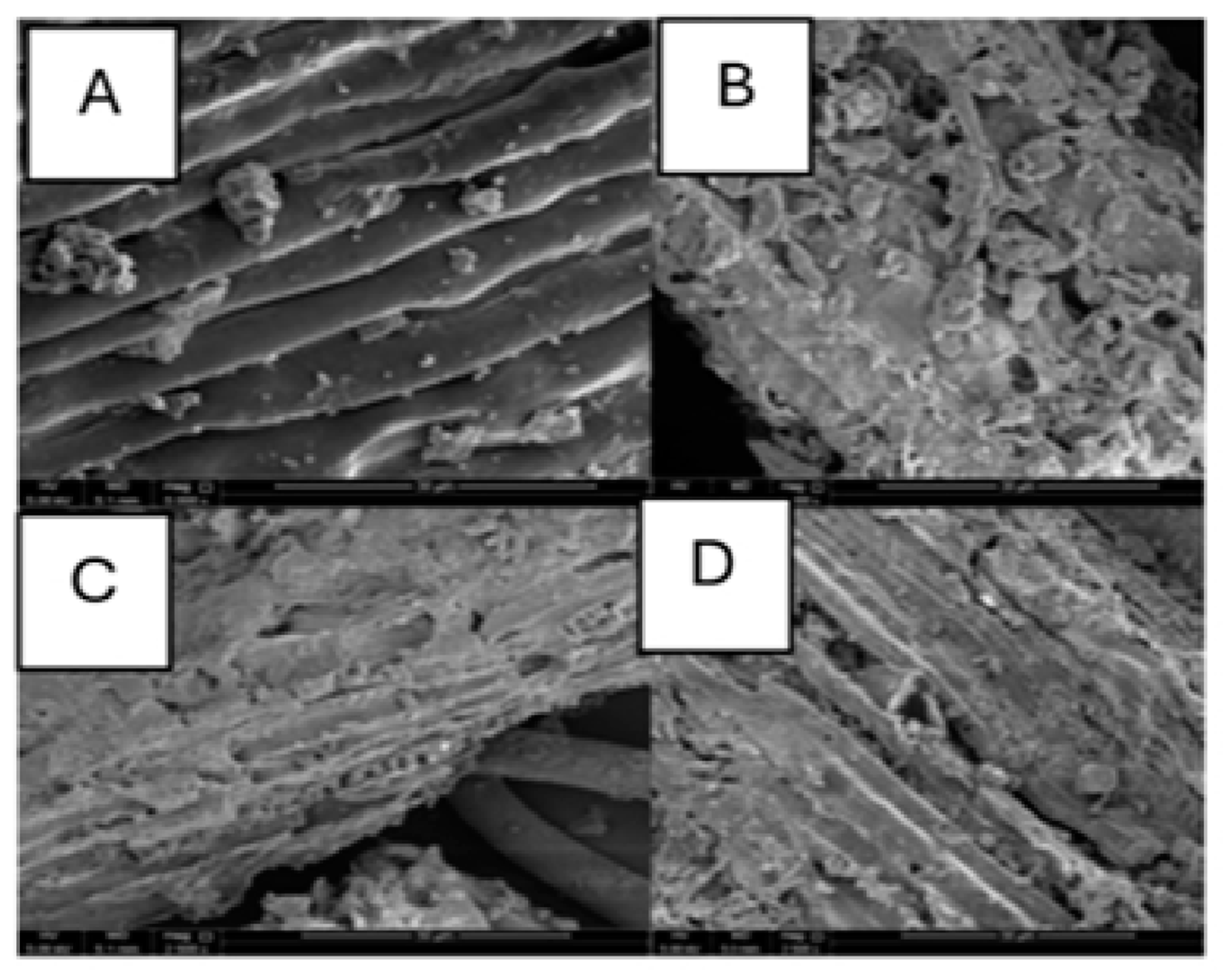 Materproc 18 00004 g004