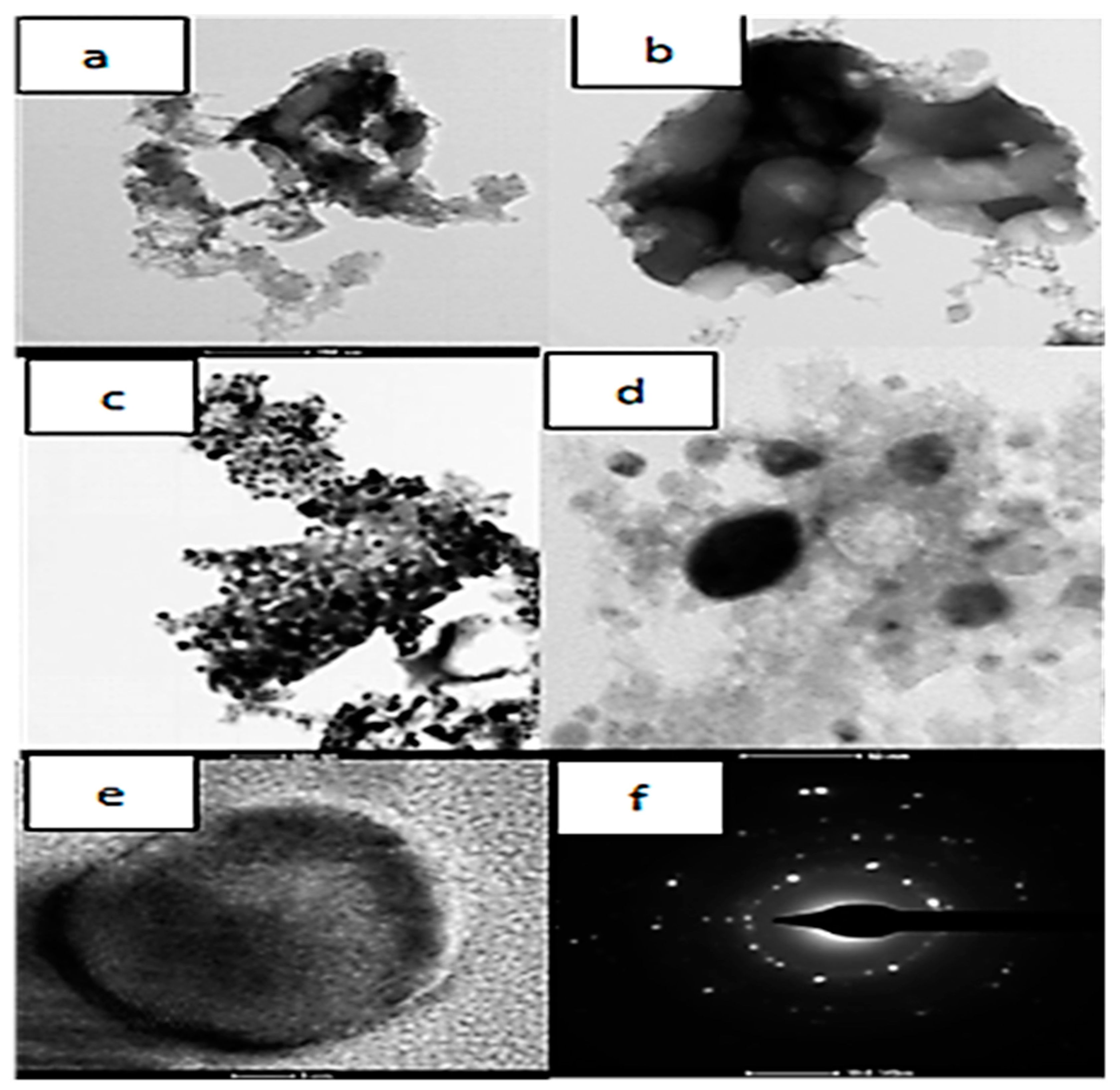 Materproc 18 00004 g006