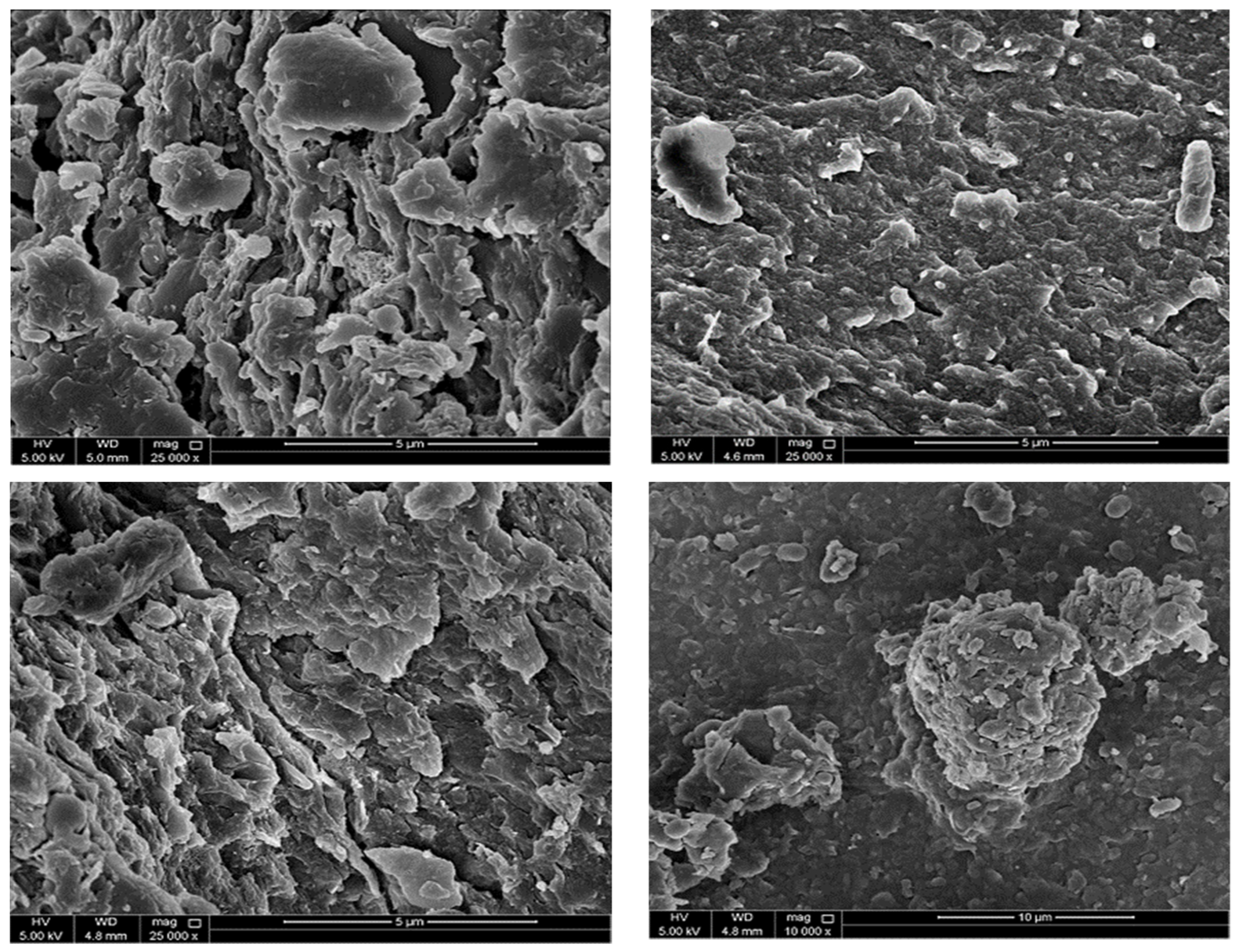 Materproc 18 00006 g002