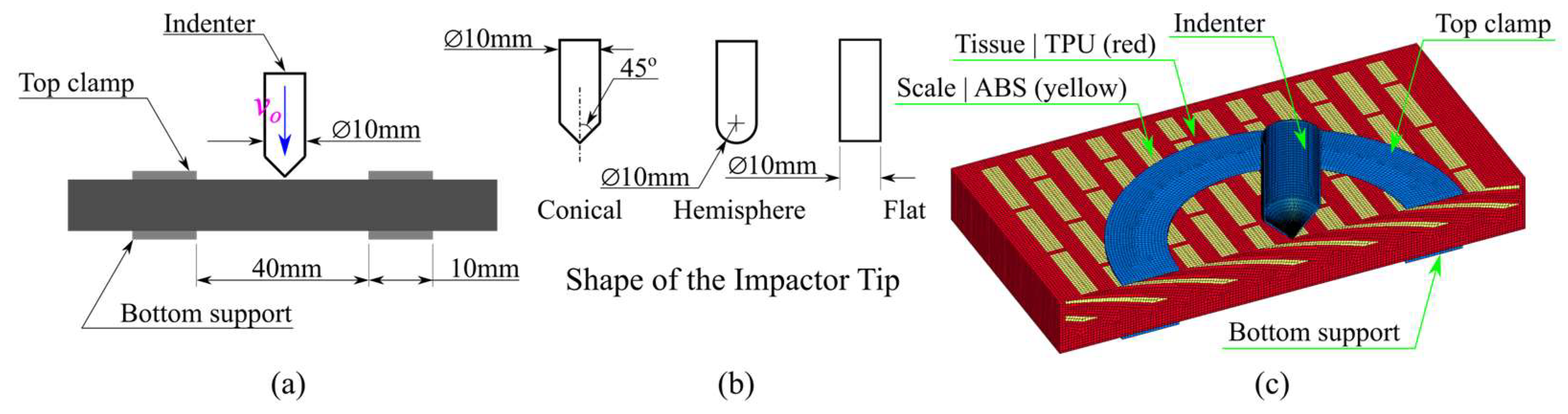 Materproc 20 00004 g001
