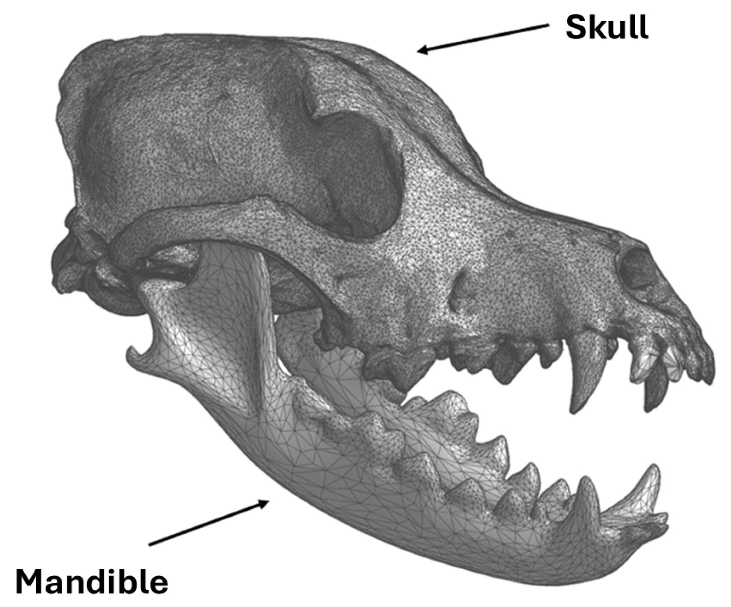 Materproc 20 00005 g001