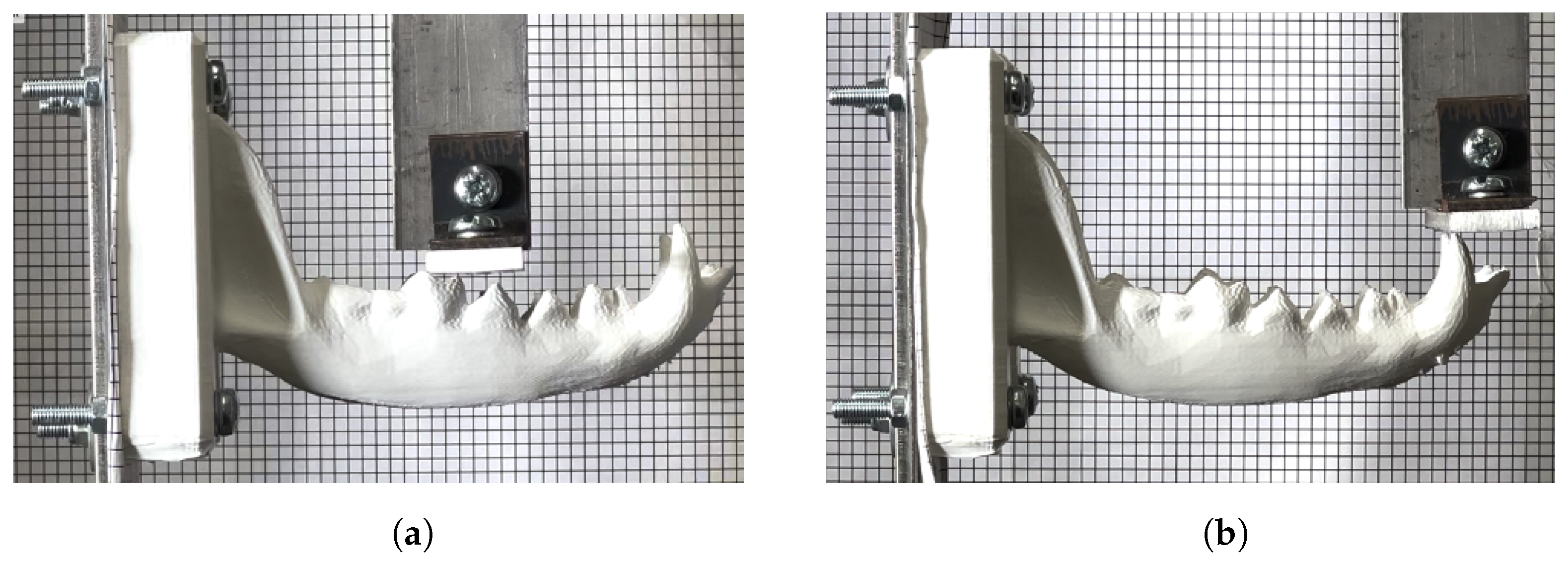 Materproc 20 00005 g004