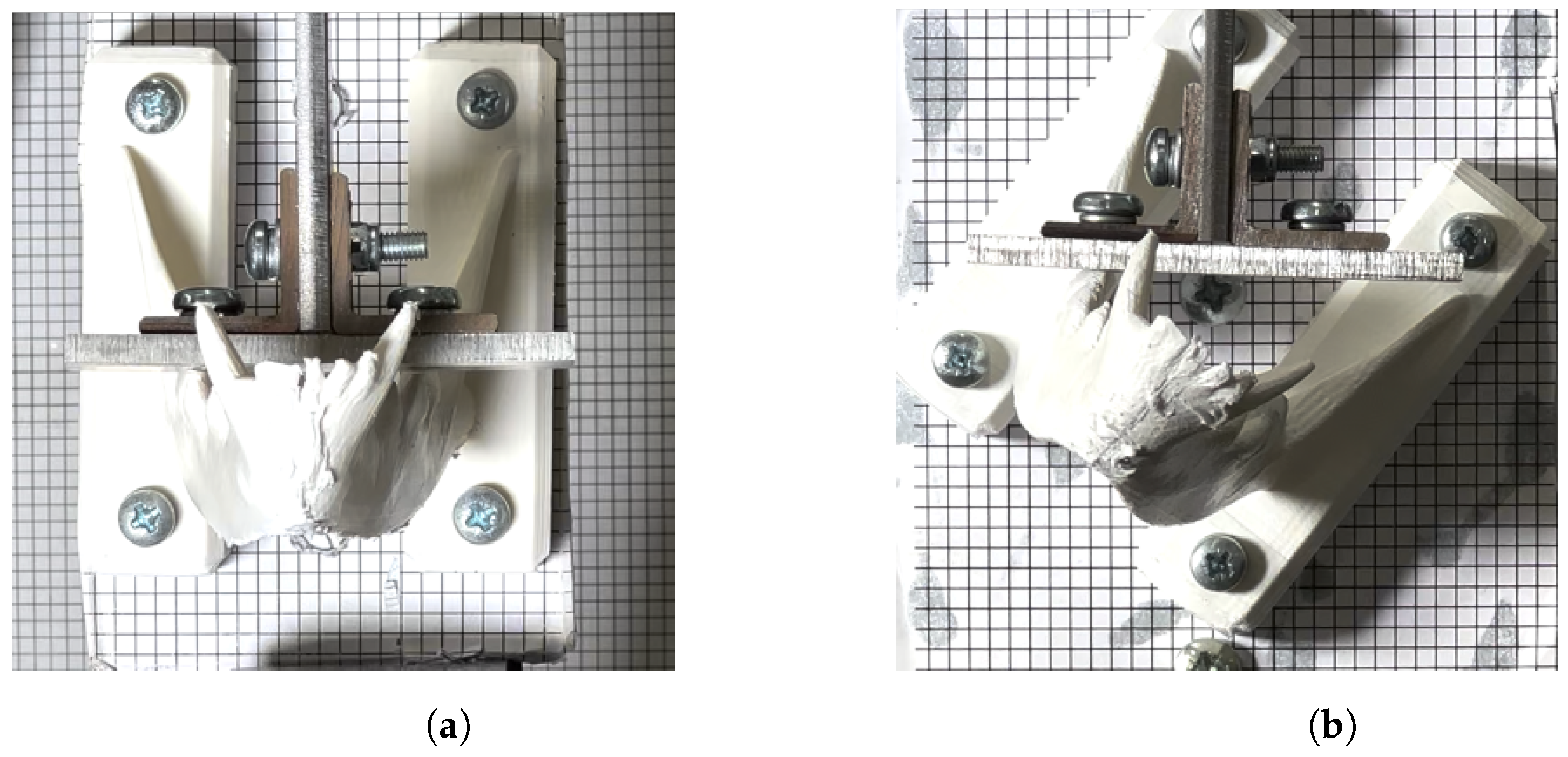 Materproc 20 00005 g005