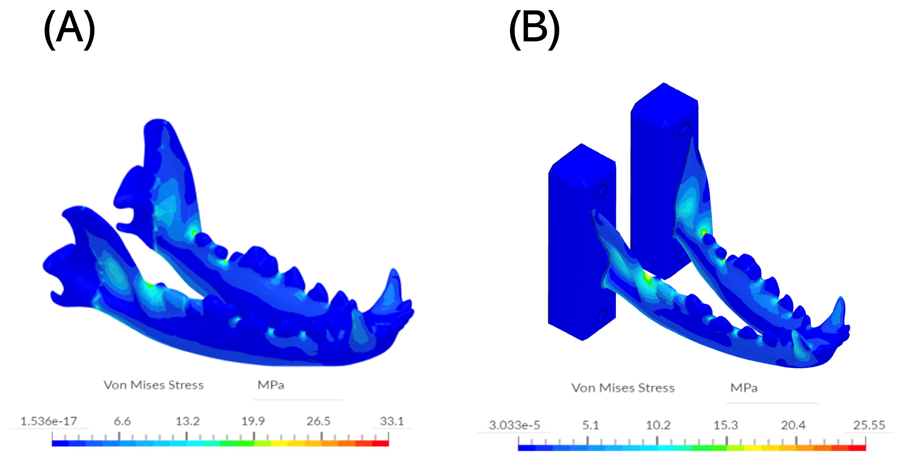Materproc 20 00005 g006