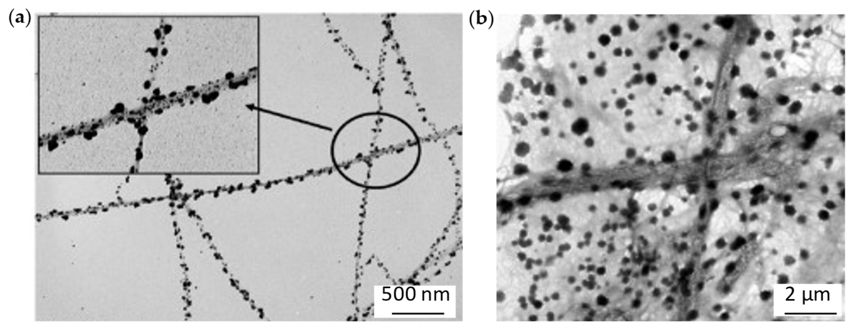 Materproc 20 00008 g002