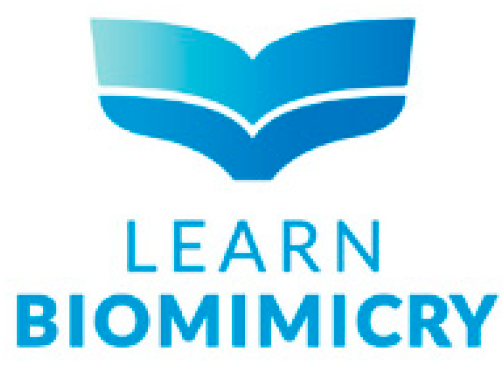 Materproc 20 00009 g001