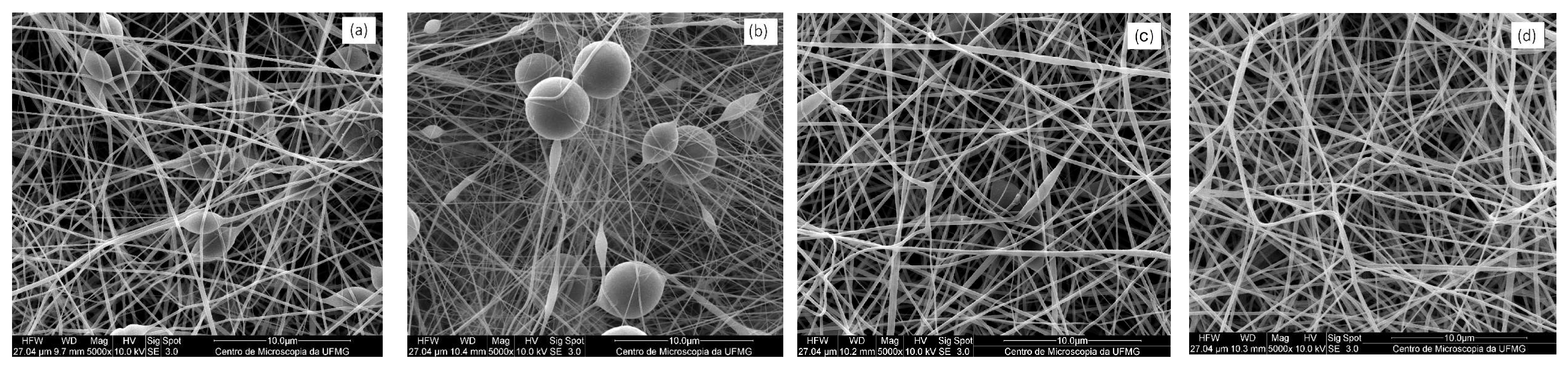 Materproc 21 00003 g001