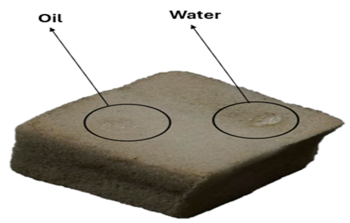 Materproc 22 00004 g003