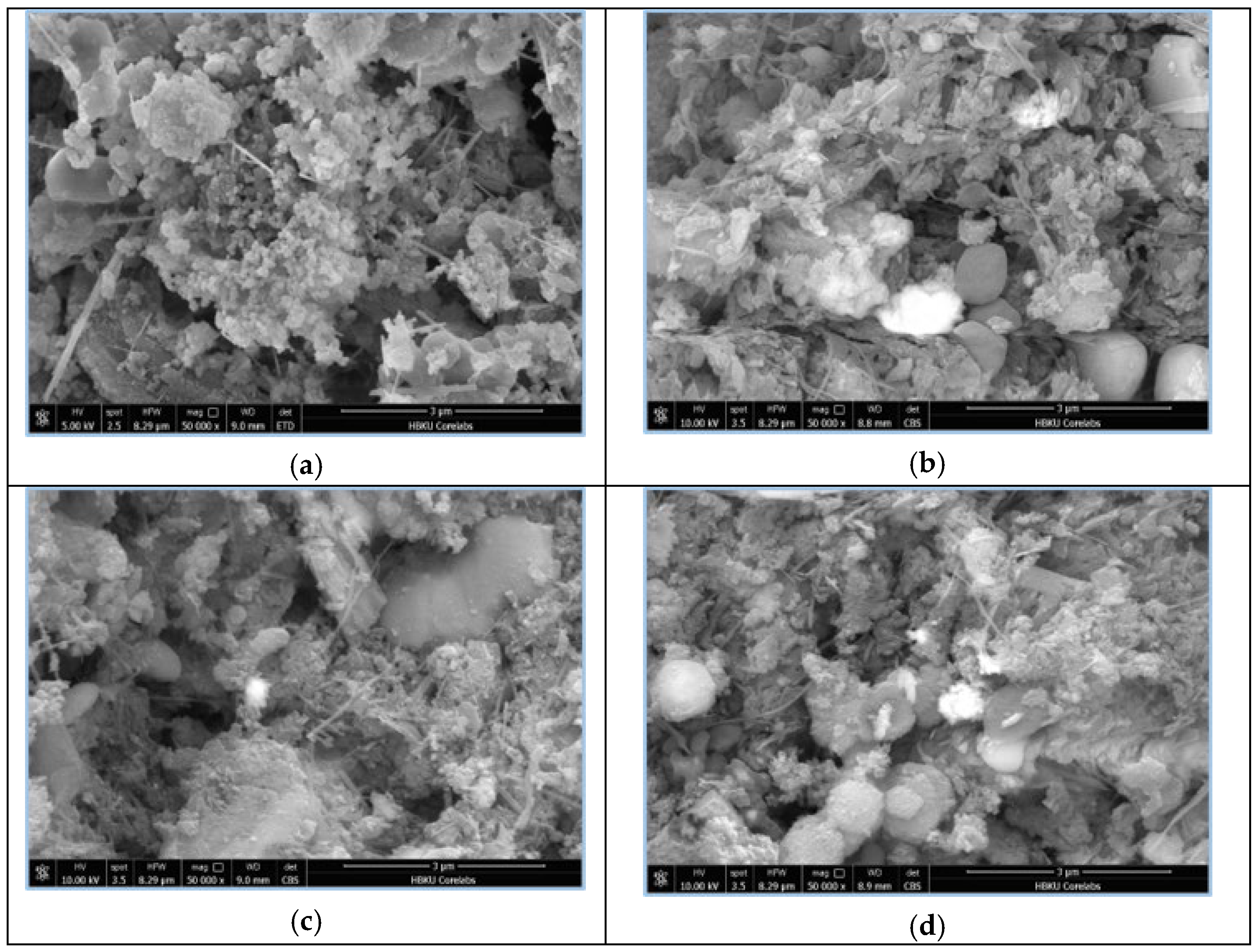 Materproc 22 00007 g002 Materproc 22 00007 g002