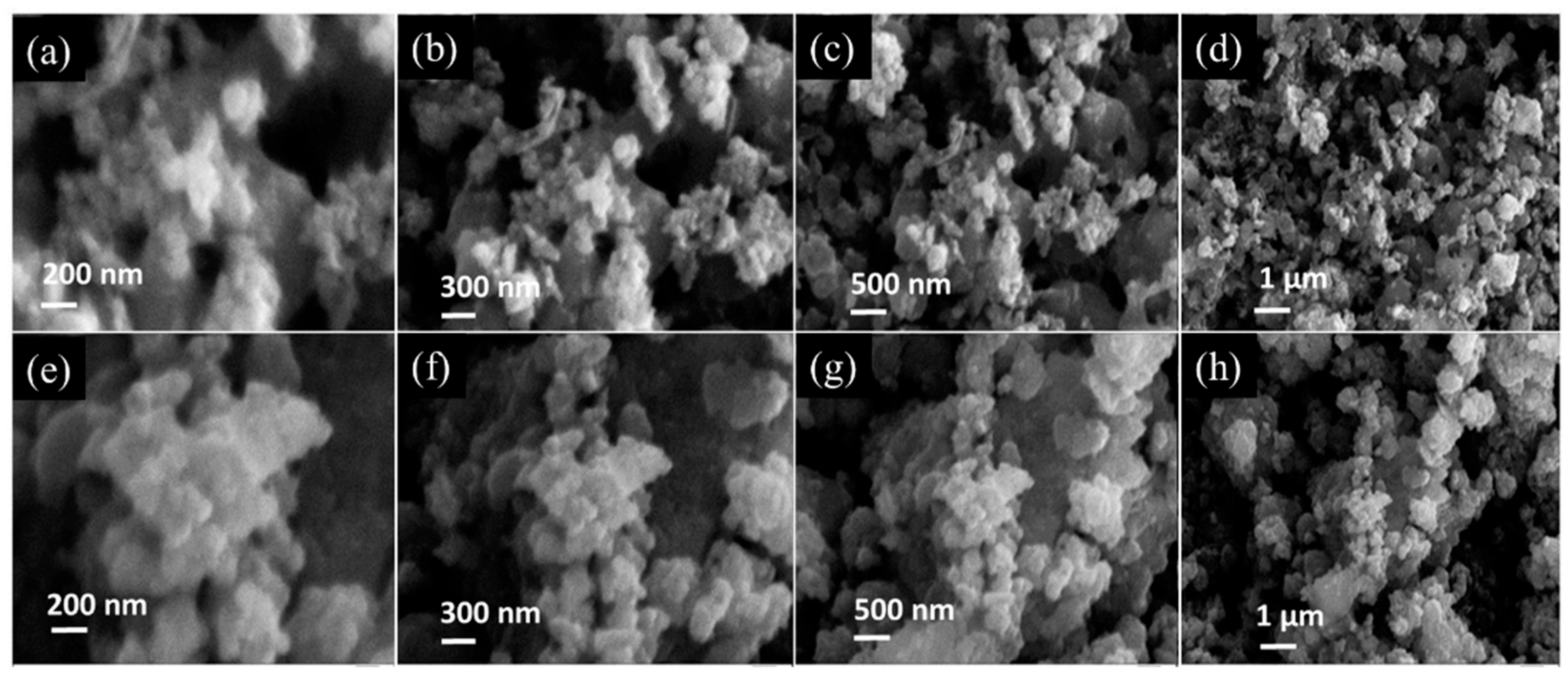 Materproc 23 00002 g002