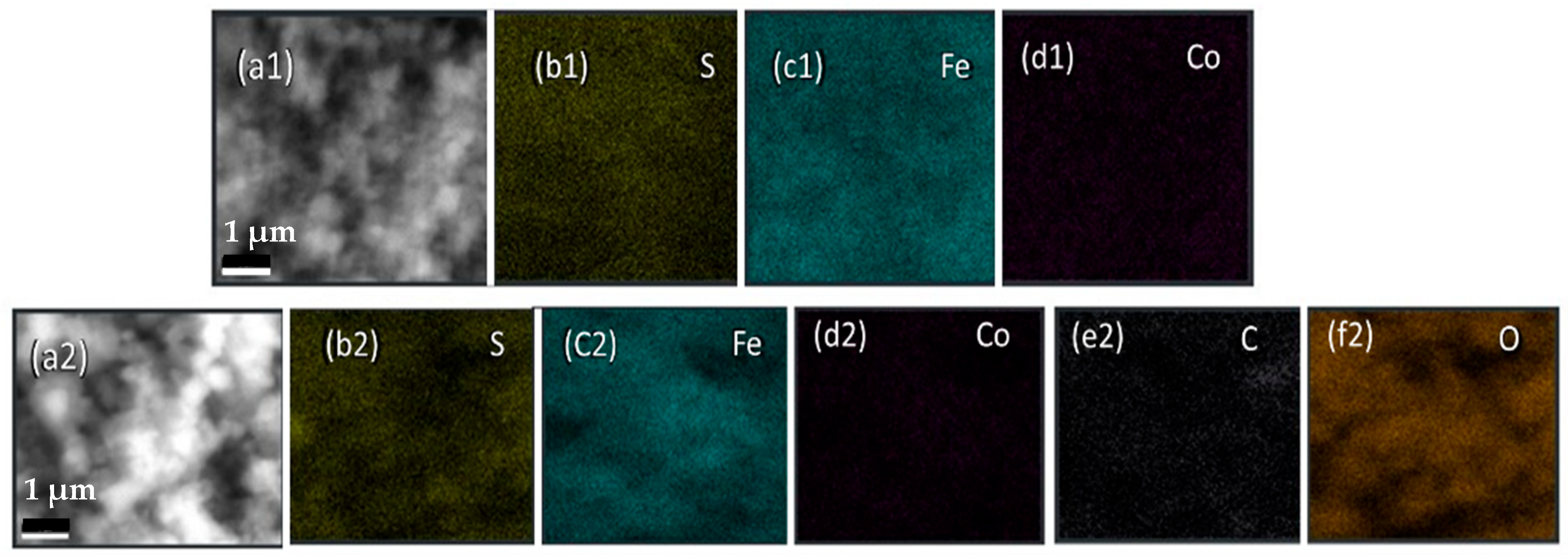 Materproc 23 00002 g003