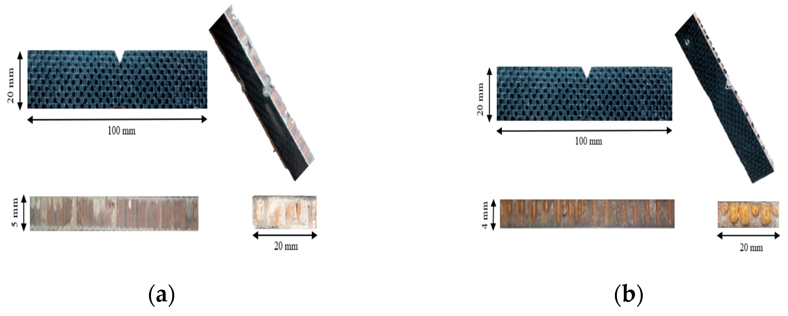 Materproc 23 00003 g004