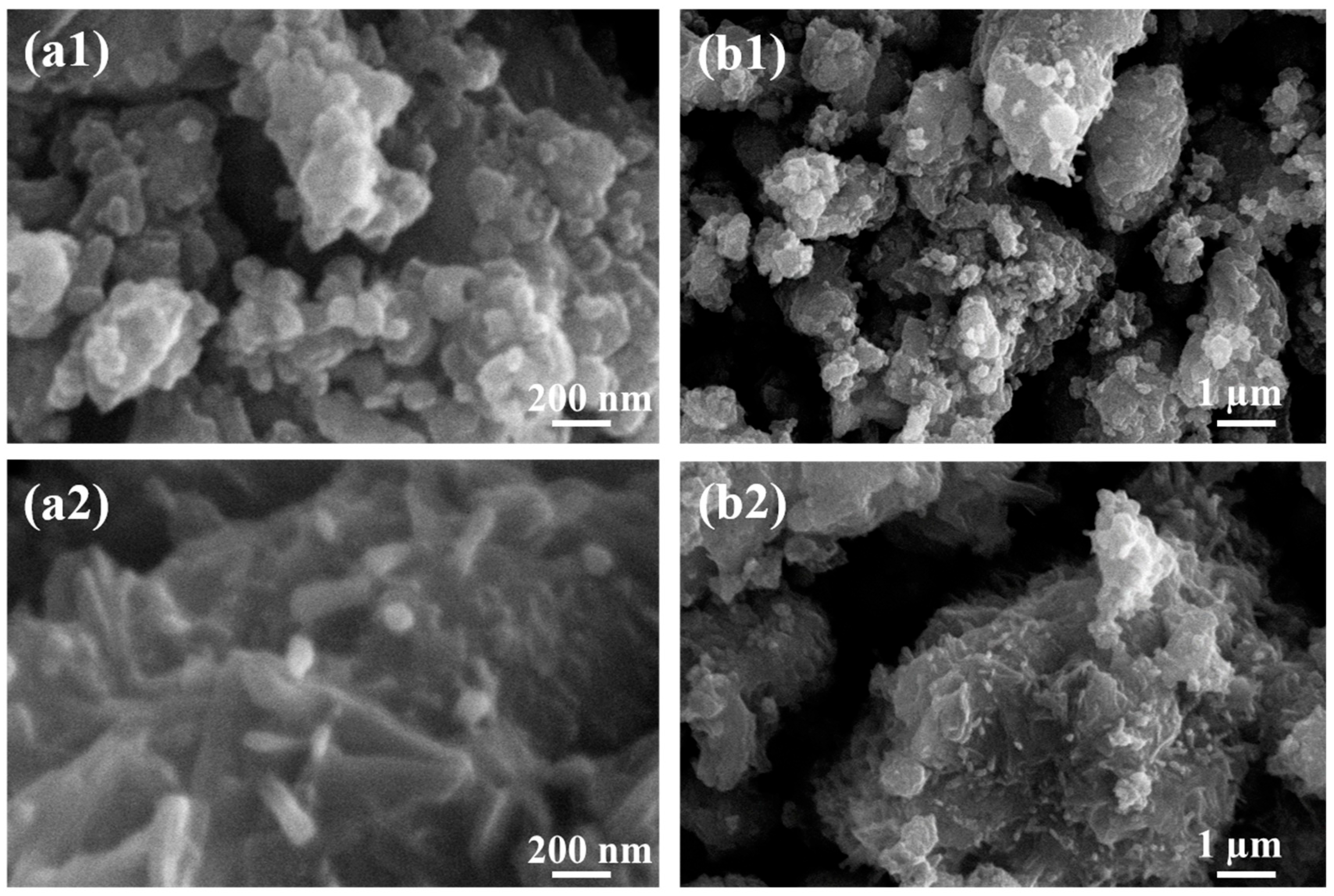 Materproc 23 00014 g003 Materproc 23 00014 g003