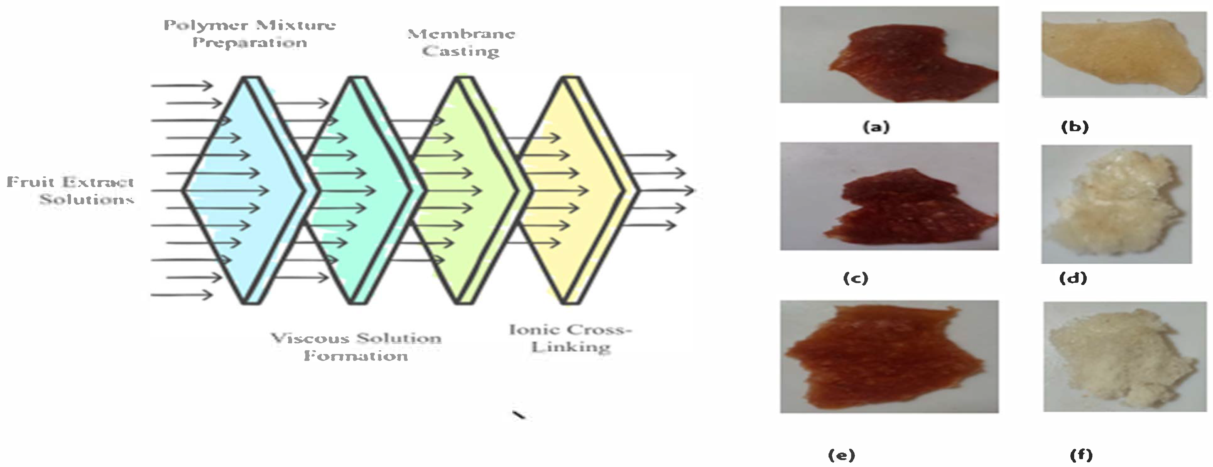 Materproc 23 00015 g001